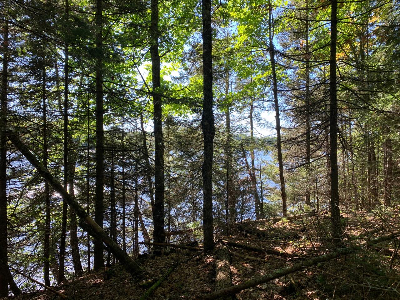 Landing Lake Property Off Of Knuth Ln Photo 6