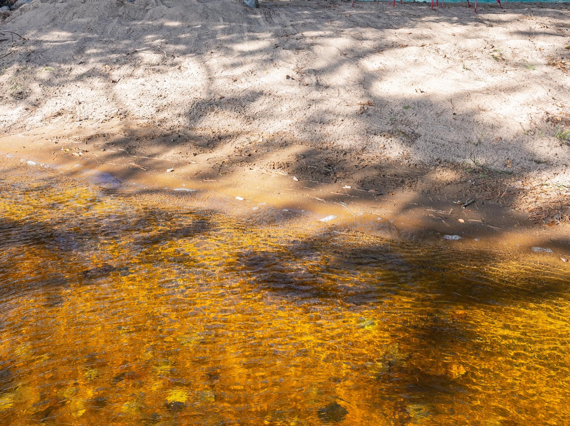 Island Lake (3L) Property 7670 Wheeler Island Rd Photo 4