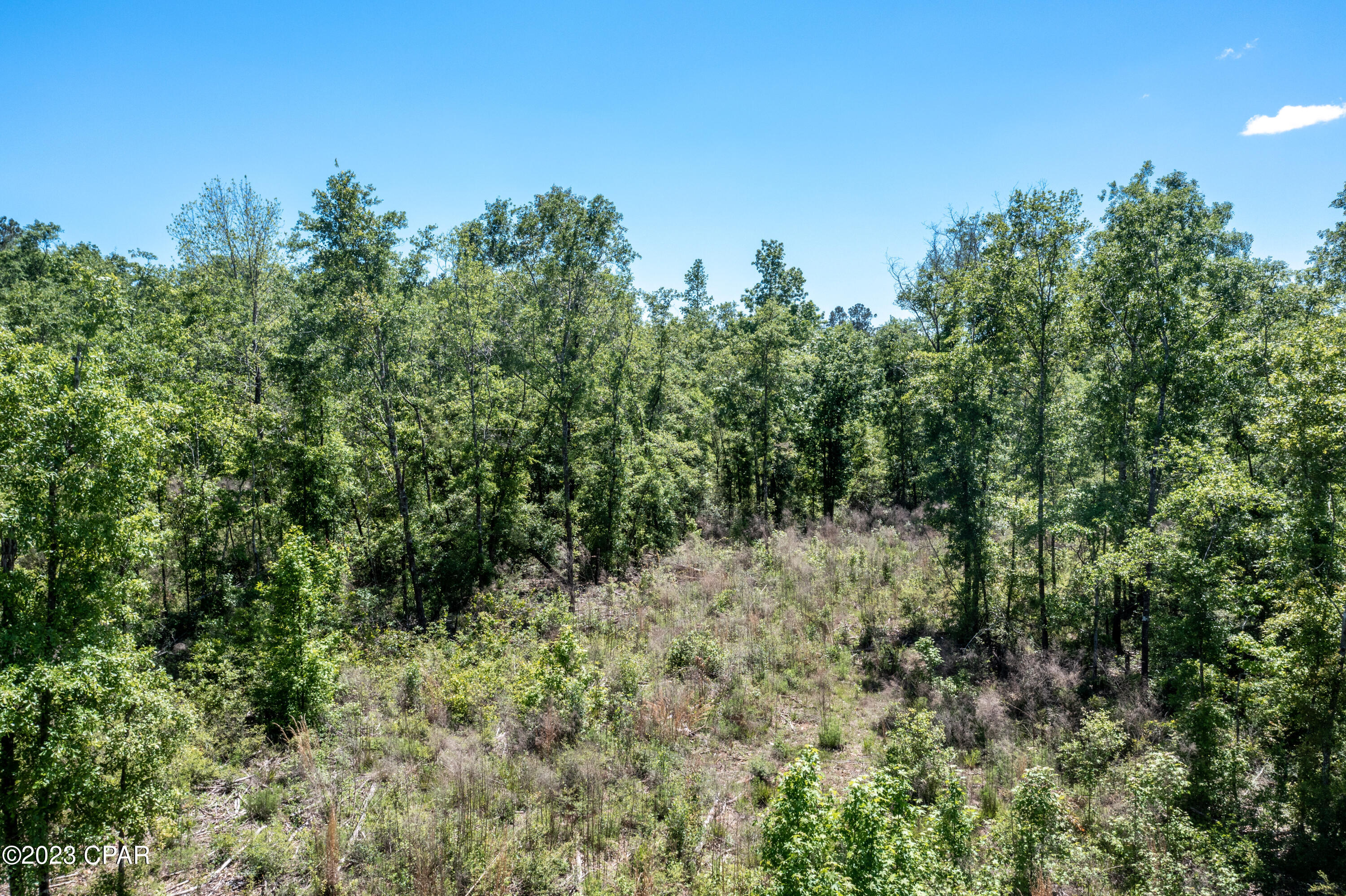 Hgbzt6 Hoxrlwn9uzqzb4vaza7skiu4k05_toacefmy