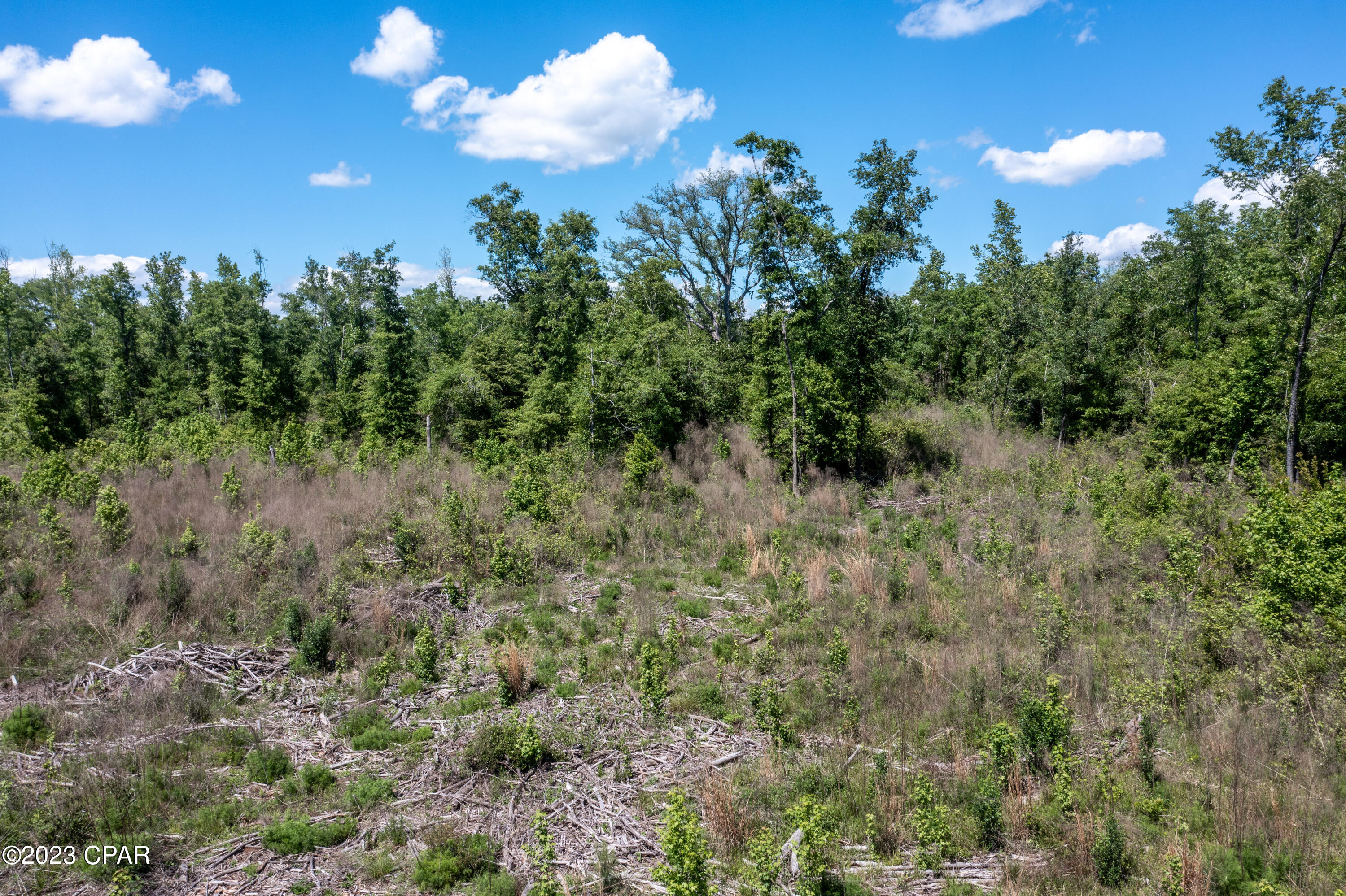 N8xkwu5h50zljja7d9aimzid8ghrswmeyhlk3nmmfre