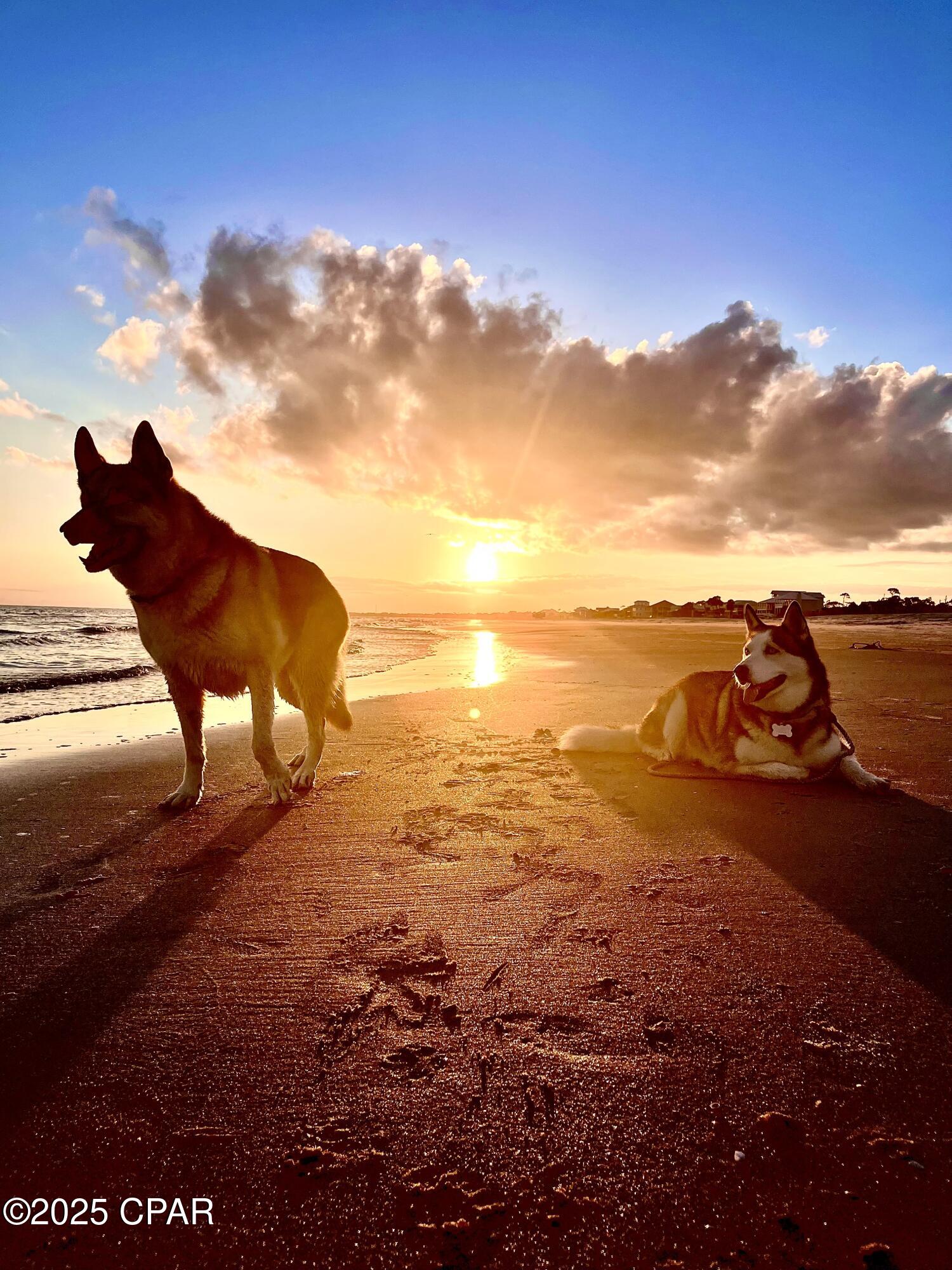 L081klczhrp8s2rpizjcbcfeygmyedqtdira8ripke8