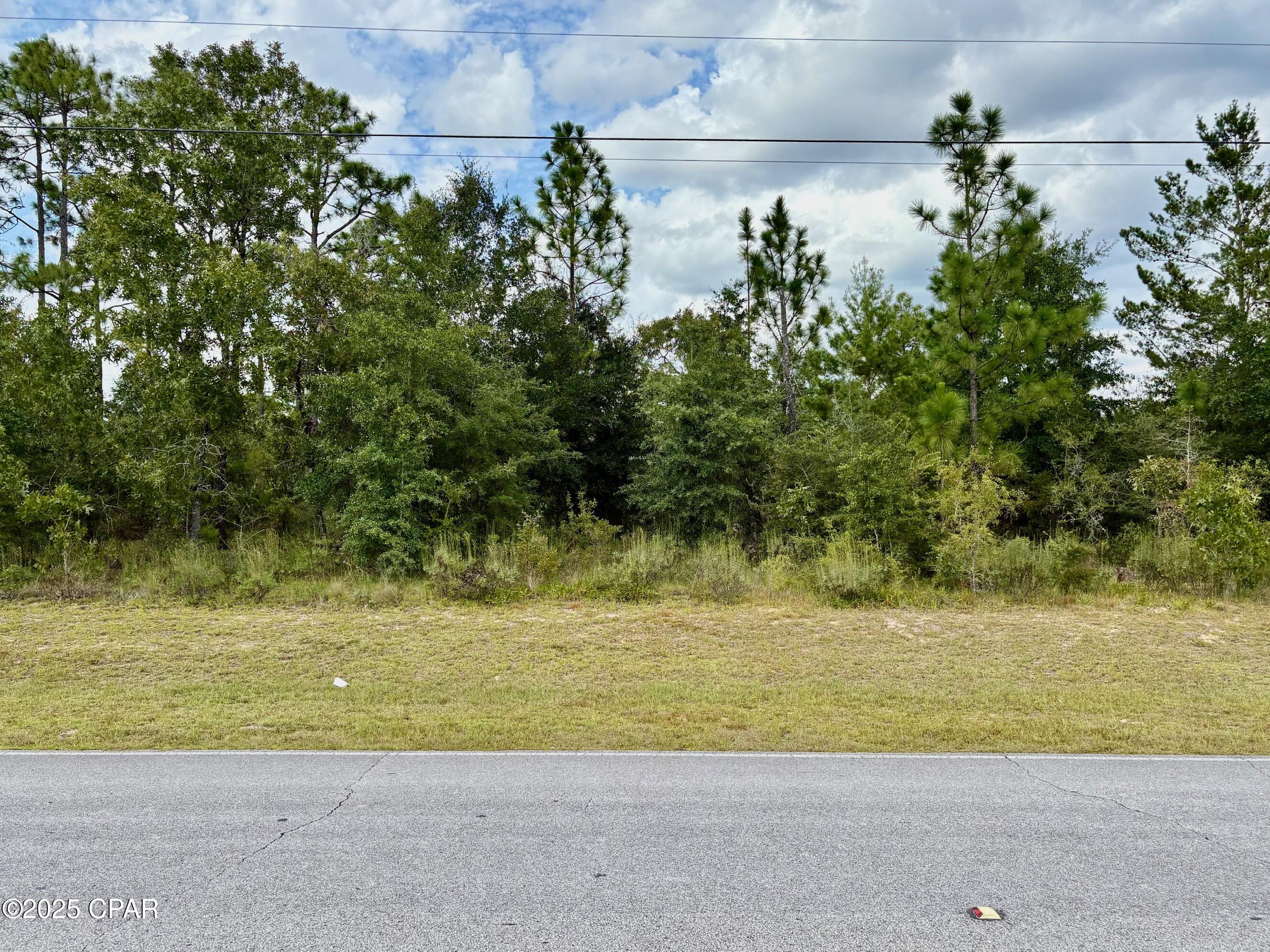 Details for 0000 Elkcam Boulevard, Chipley, FL 32428