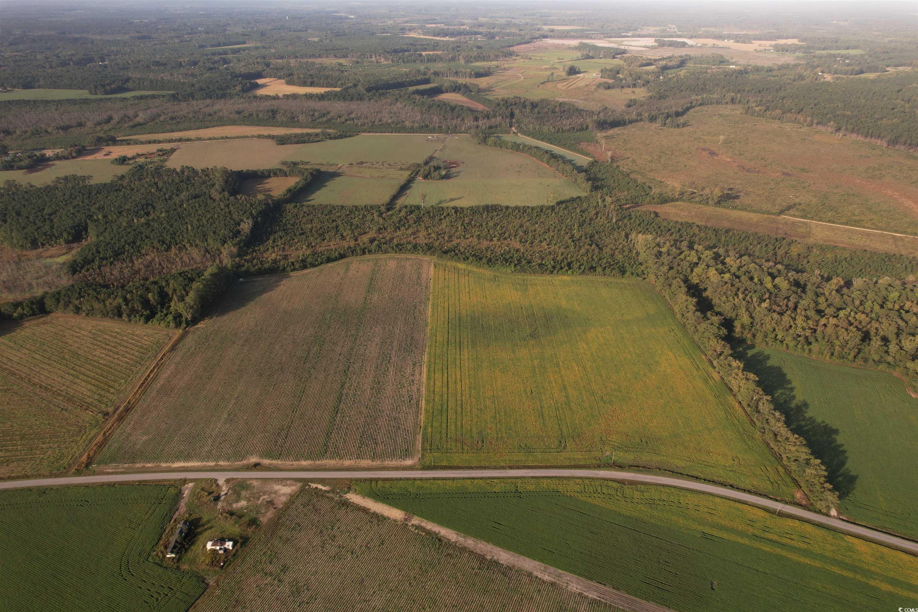 66.5 Acres Baxley Rd. Hemingway, SC 29554