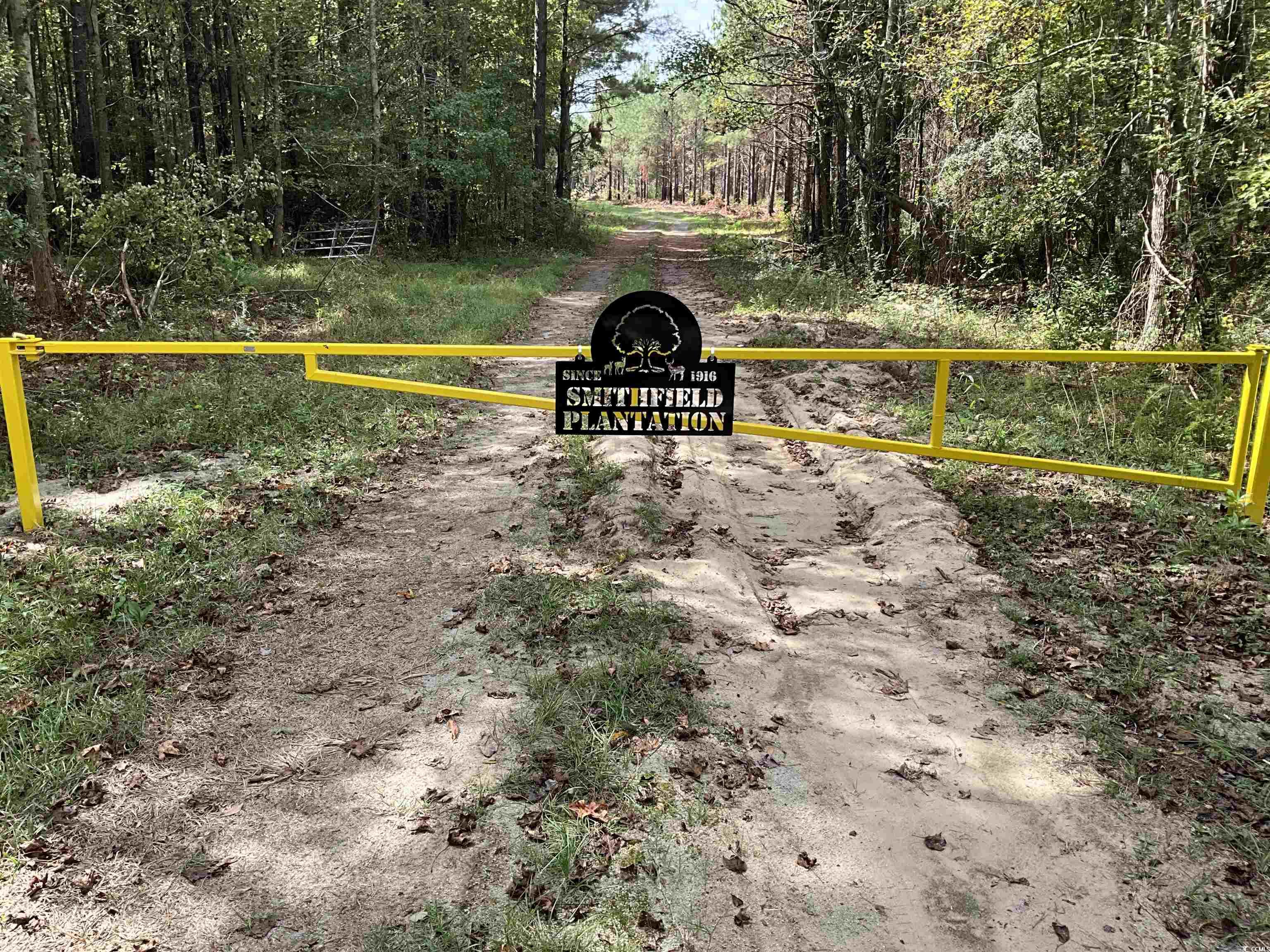 TBD Aloha Dr. Marion, SC 29571