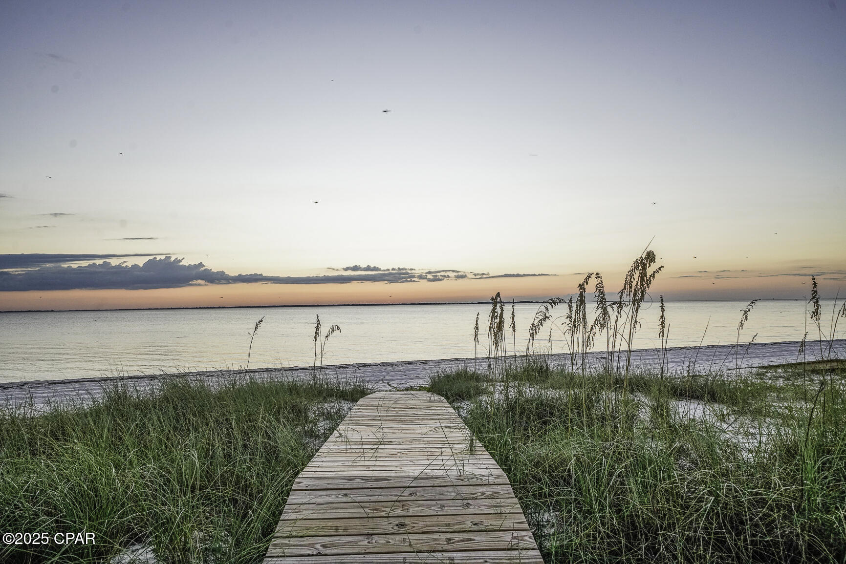 Panf1rl1qja__ihbhyigmt9ohuq4t_ll_yqsym0g5lo