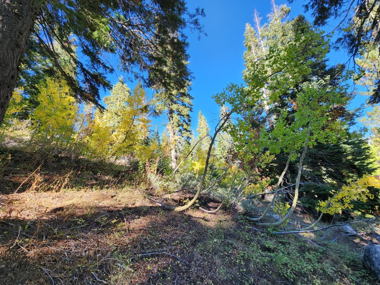 128 John Ebbetts Road