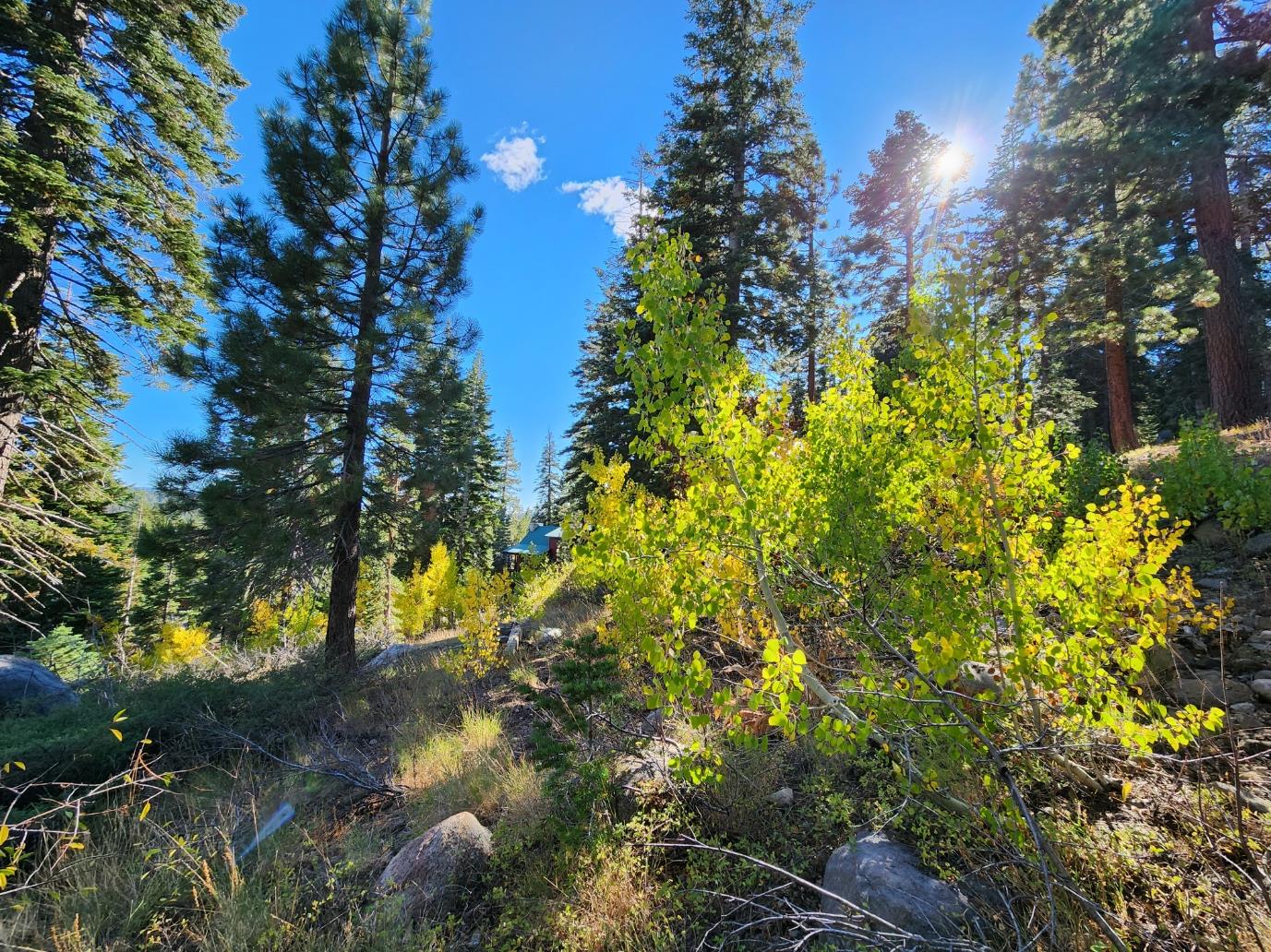 128 John Ebbetts Road