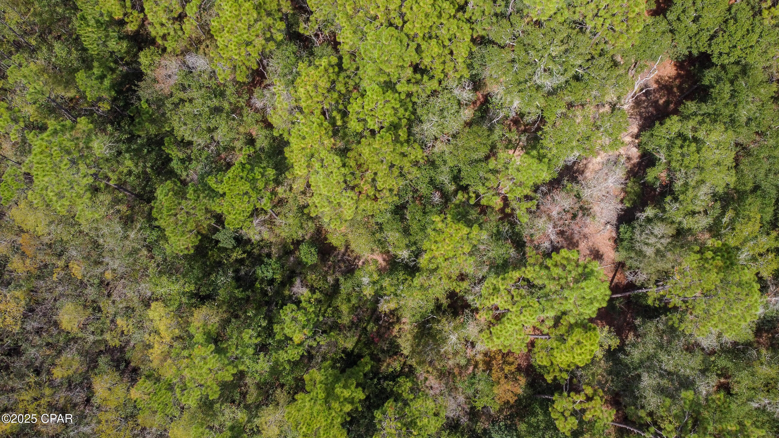 C Jggae5mezptxjzfsgzt Jsyi4d5ryklifp_jixfhg