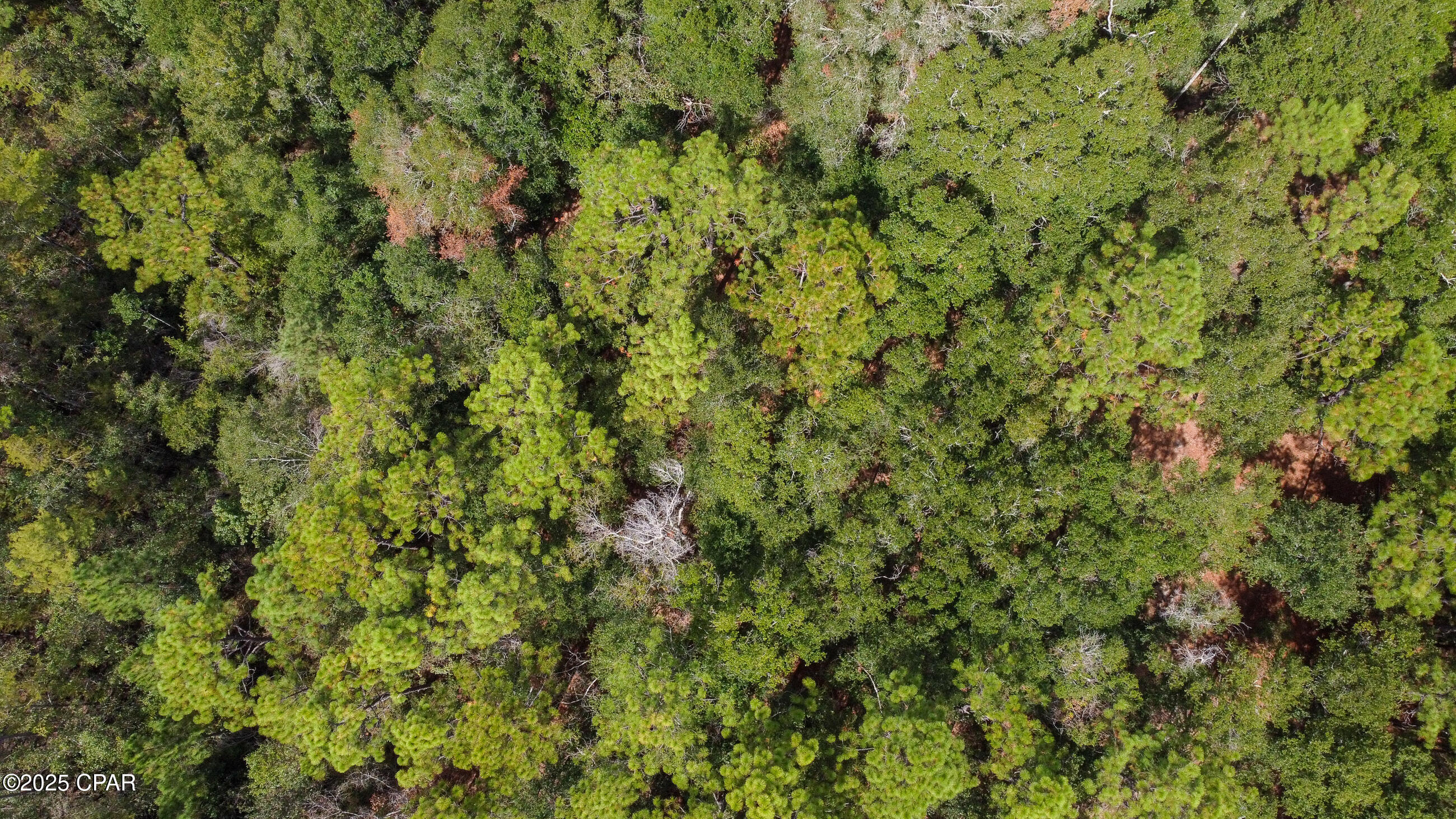 Ivt8me5whgjri1yqozx_nkavs_mq0cbwnujcdqau5wg