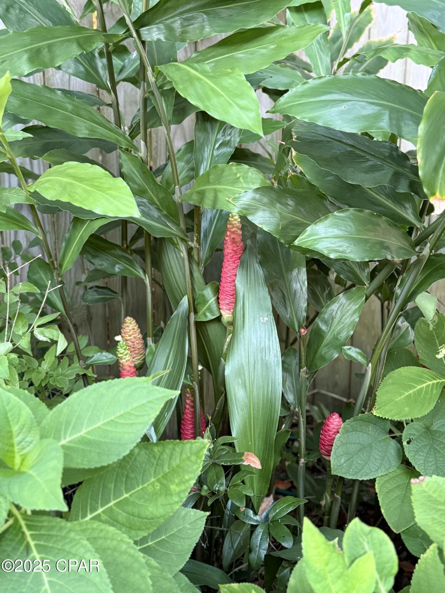 Hvxojthcldge8x4wpnmdfakwks9y9h6y6skmh02422c