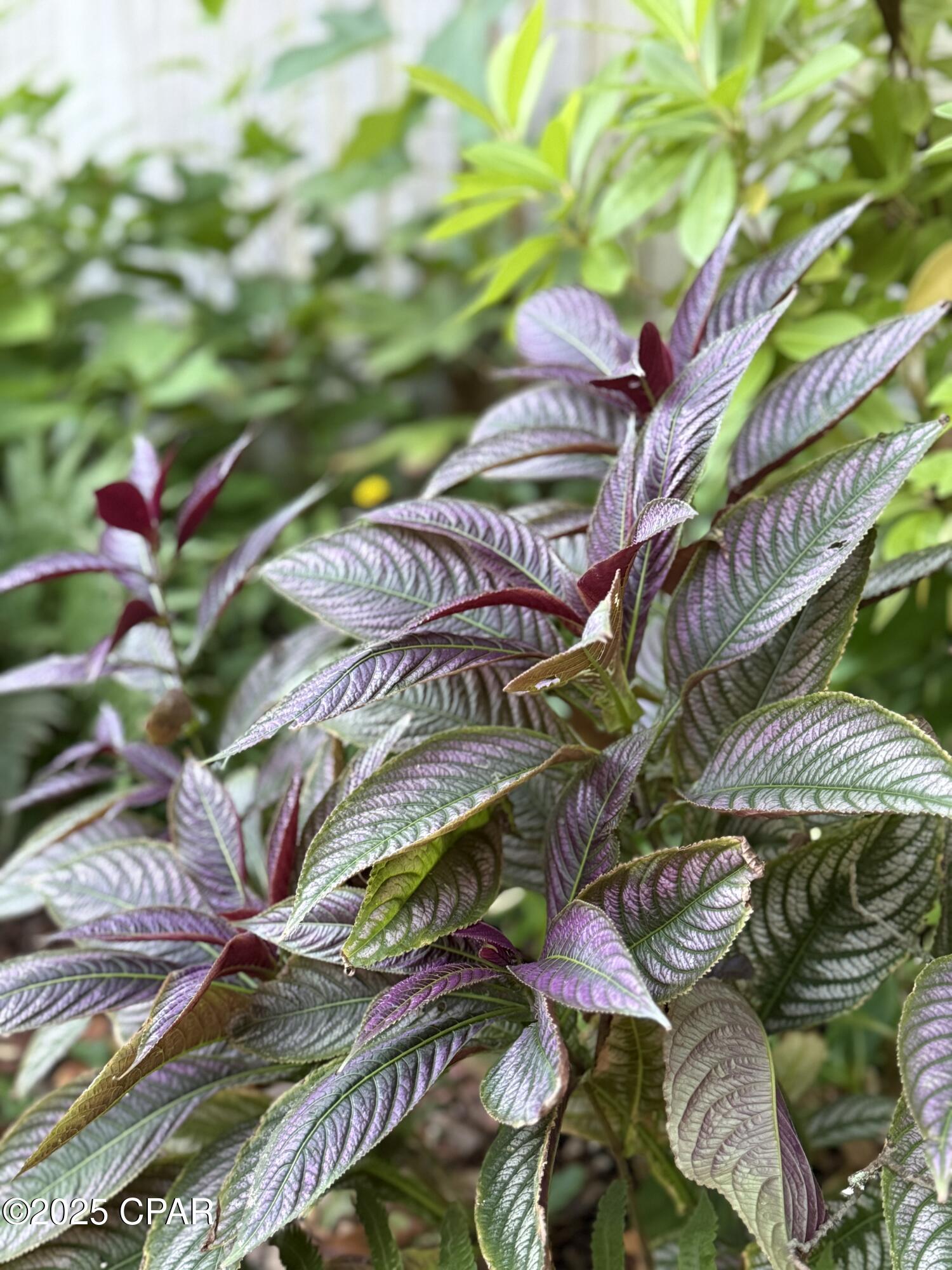 Kraqtvb Nc K4rj8nx4jaolkrnf5rd5ytbtw8lmuhhk