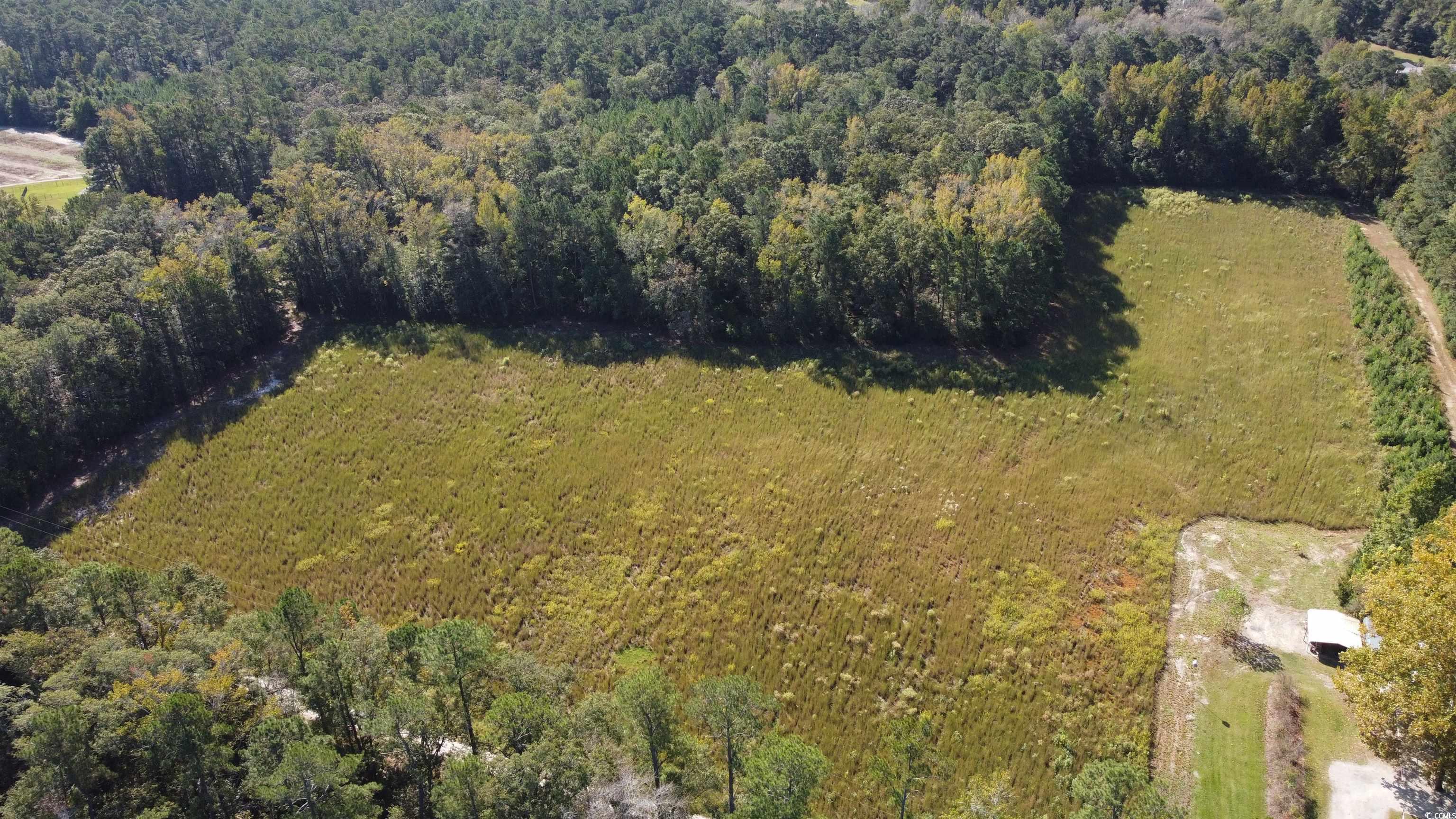 TBD Bluebird Rd. Loris, SC 29569