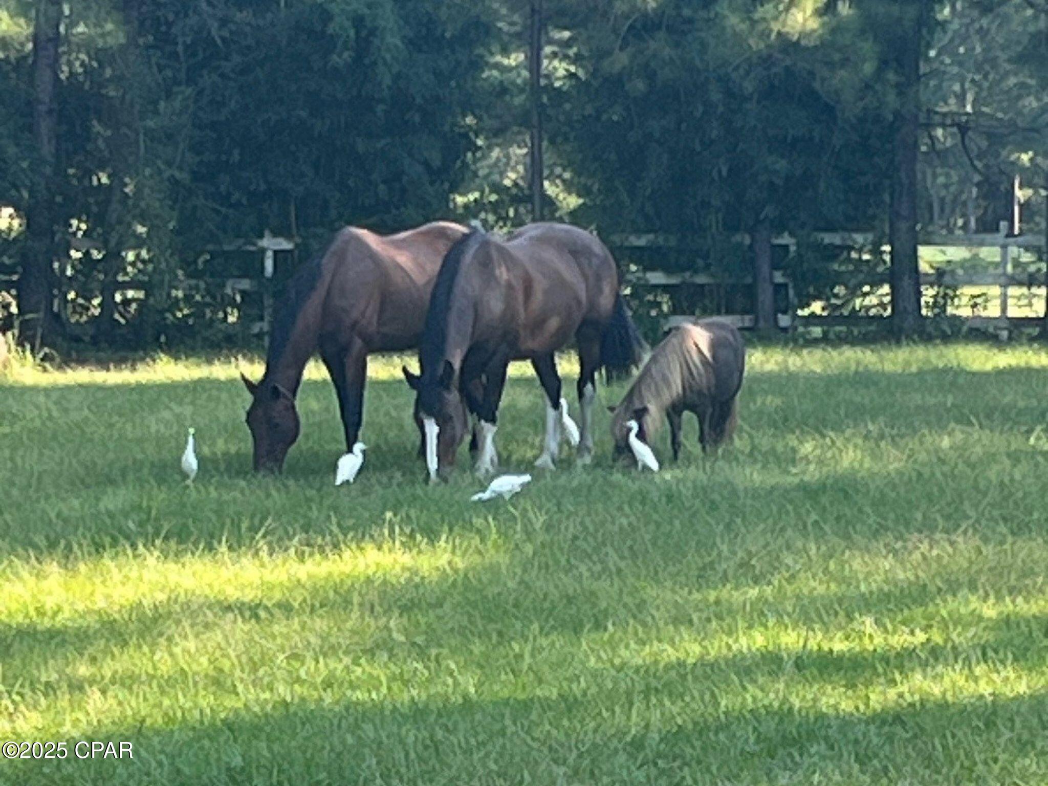 Vc F38uyiqdf U9udnoye77jdnzcek6rmzmtxjq9rpc