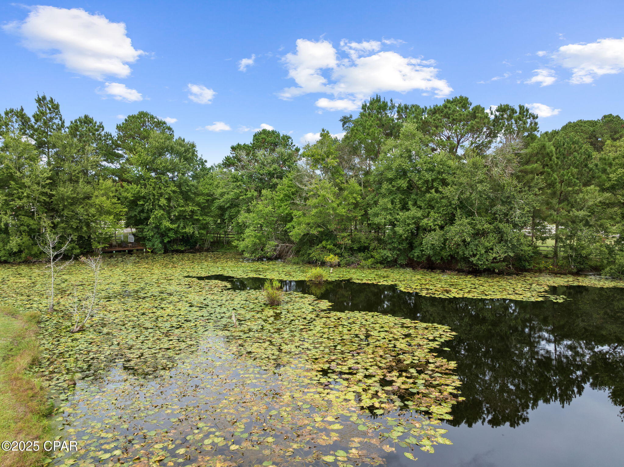 Ewml2qiym Vtmolebifbn1lrevrhvbtrz8plxcadt1m