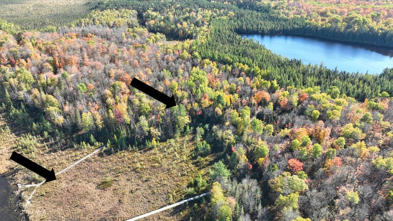 Long Lake (P) Property Off Fernwood Dr Photo 2