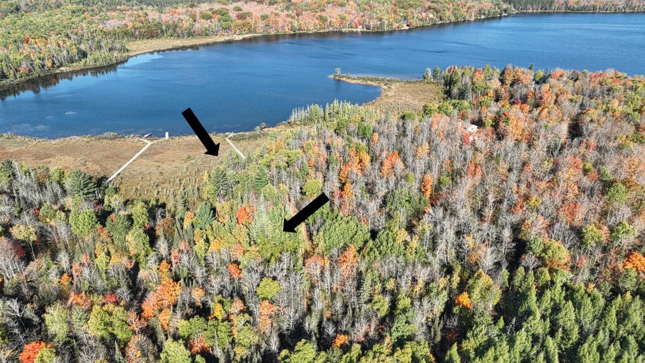 Long Lake (P) Property Off Fernwood Dr Photo 3