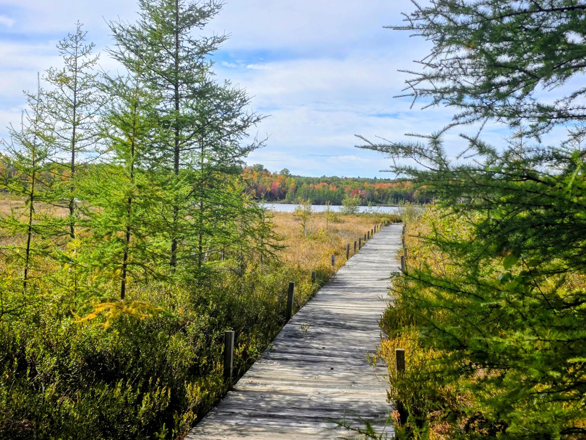 Long Lake (P) Property Off Fernwood Dr Photo 4