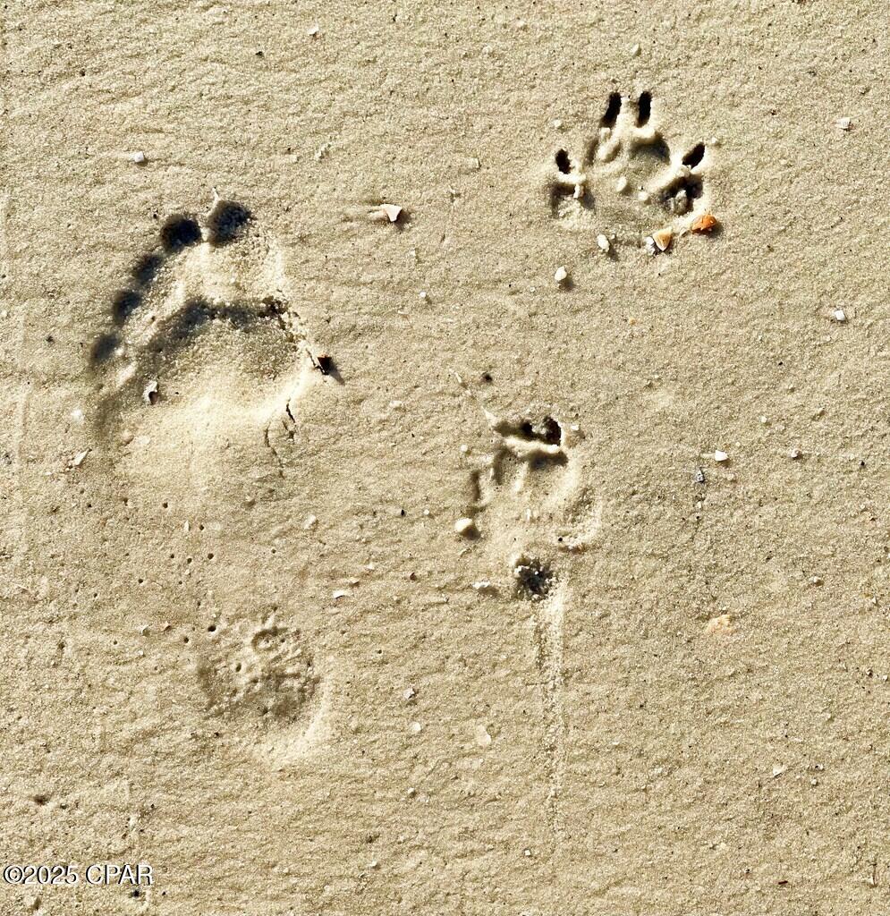 Y5kbfp7lsdw_by3lzghllrxvpai1pgly9mq8rzhf07q