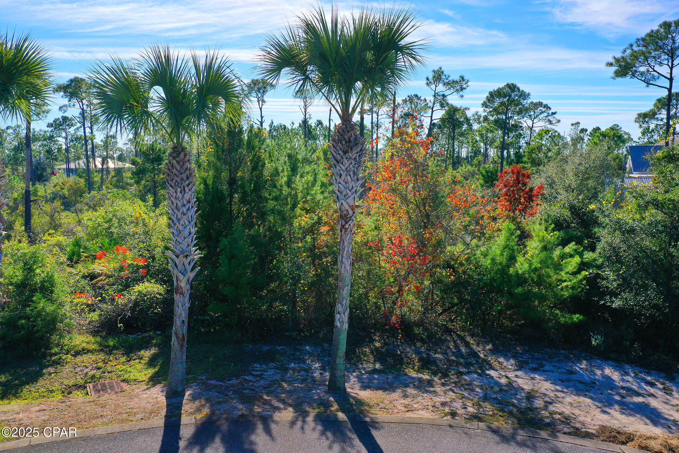 Image 2 For 109 Conch Street