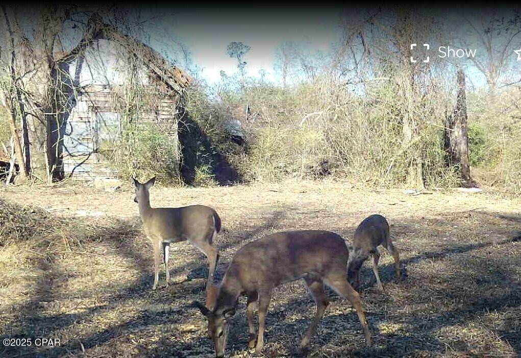 Image 18 For 10215 Campflowers Road