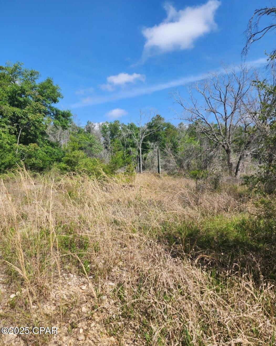 Y5nf7r1om37f6cu9v_u4ujtgkgn5bk_oit8g2vzdrjw