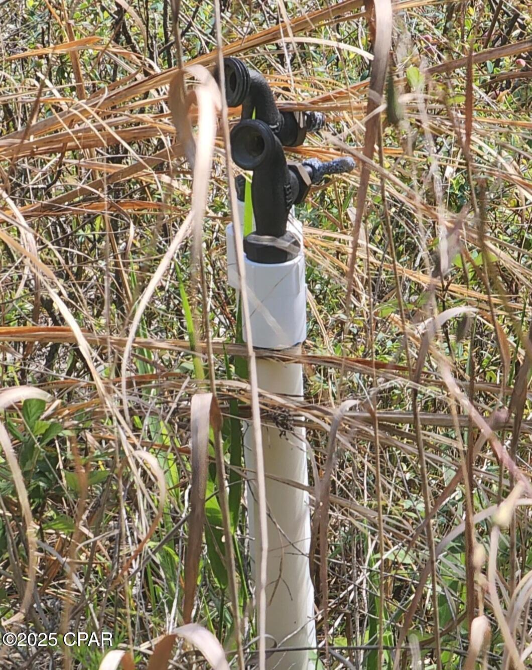 8c8p5ccoqmzlitgiiu9kvezxrcz6uljsq7dbwnctvsw