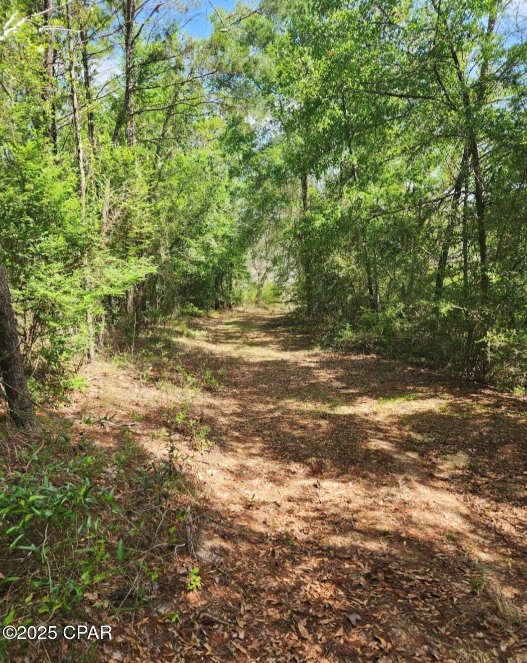 Hb8zheazgxts1uy06oycb76eiumjsvq0om_72l2 Zlg