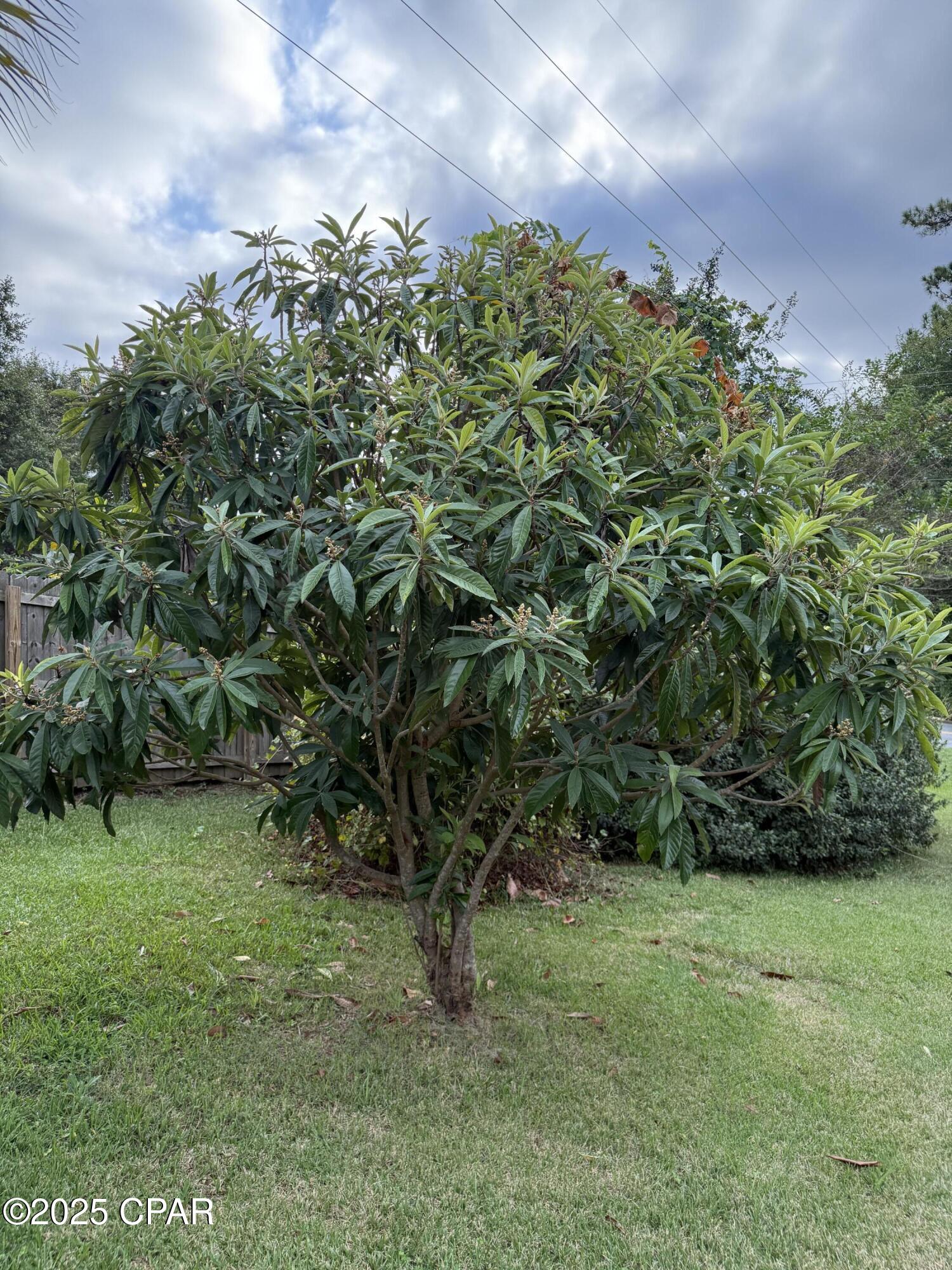 77plalasbzqhmveg93wifkfrzbw83itszvxkrxiqxgk