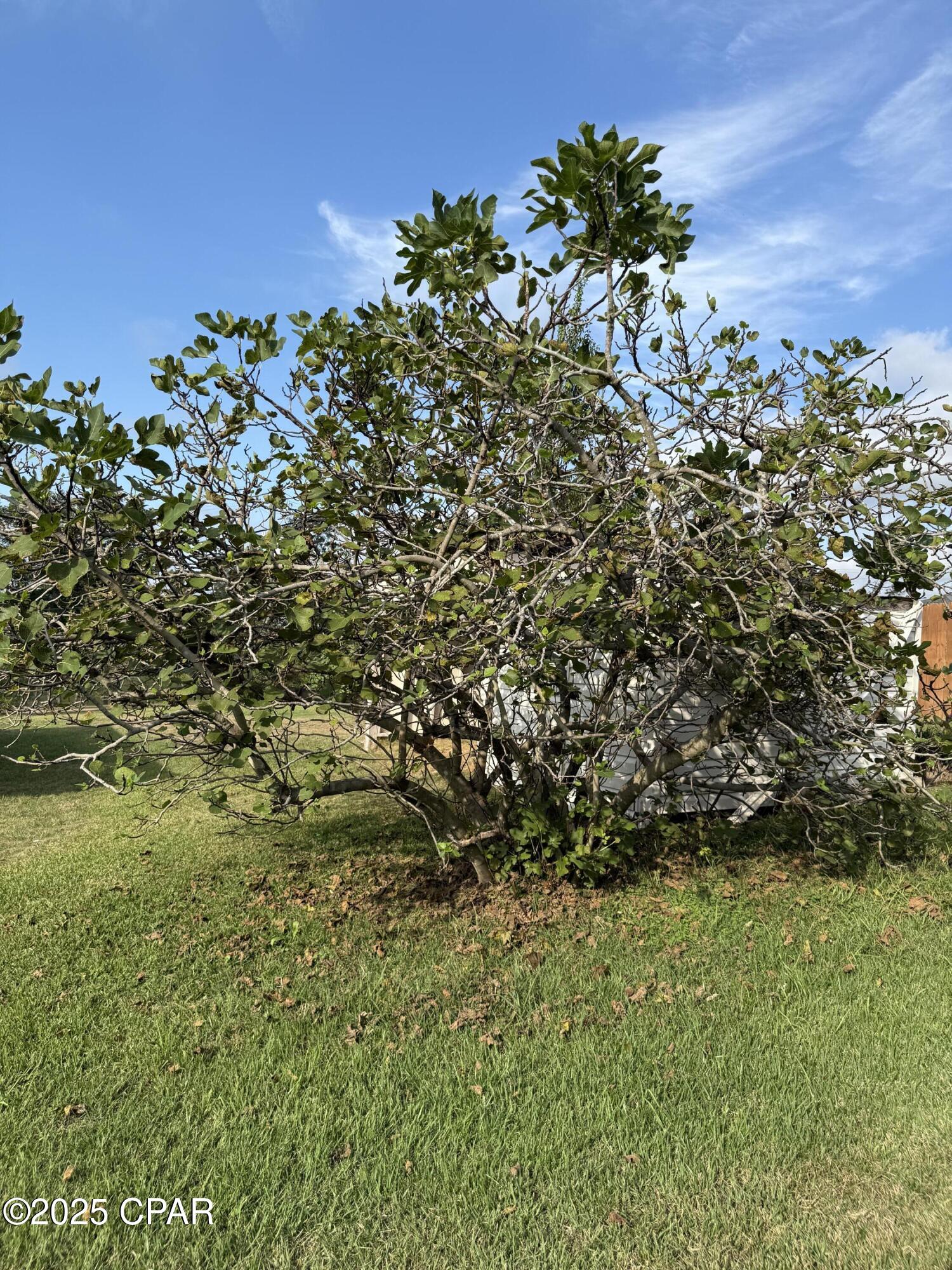 2hnpvfi5axacz26fsegtu0ce04d6wbzn8qn58k_b6bm