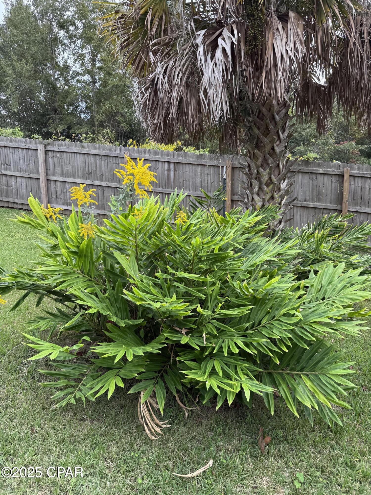 Rcwx5dpprtg3j8suusynytydskmh8rvhcfjckaldadq