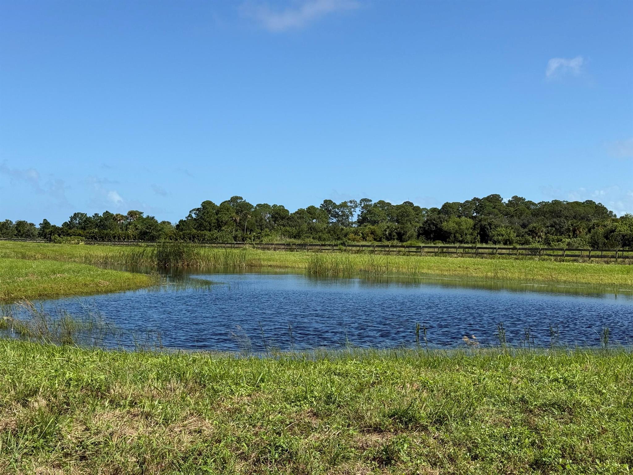 Winter Beach Equestrian E