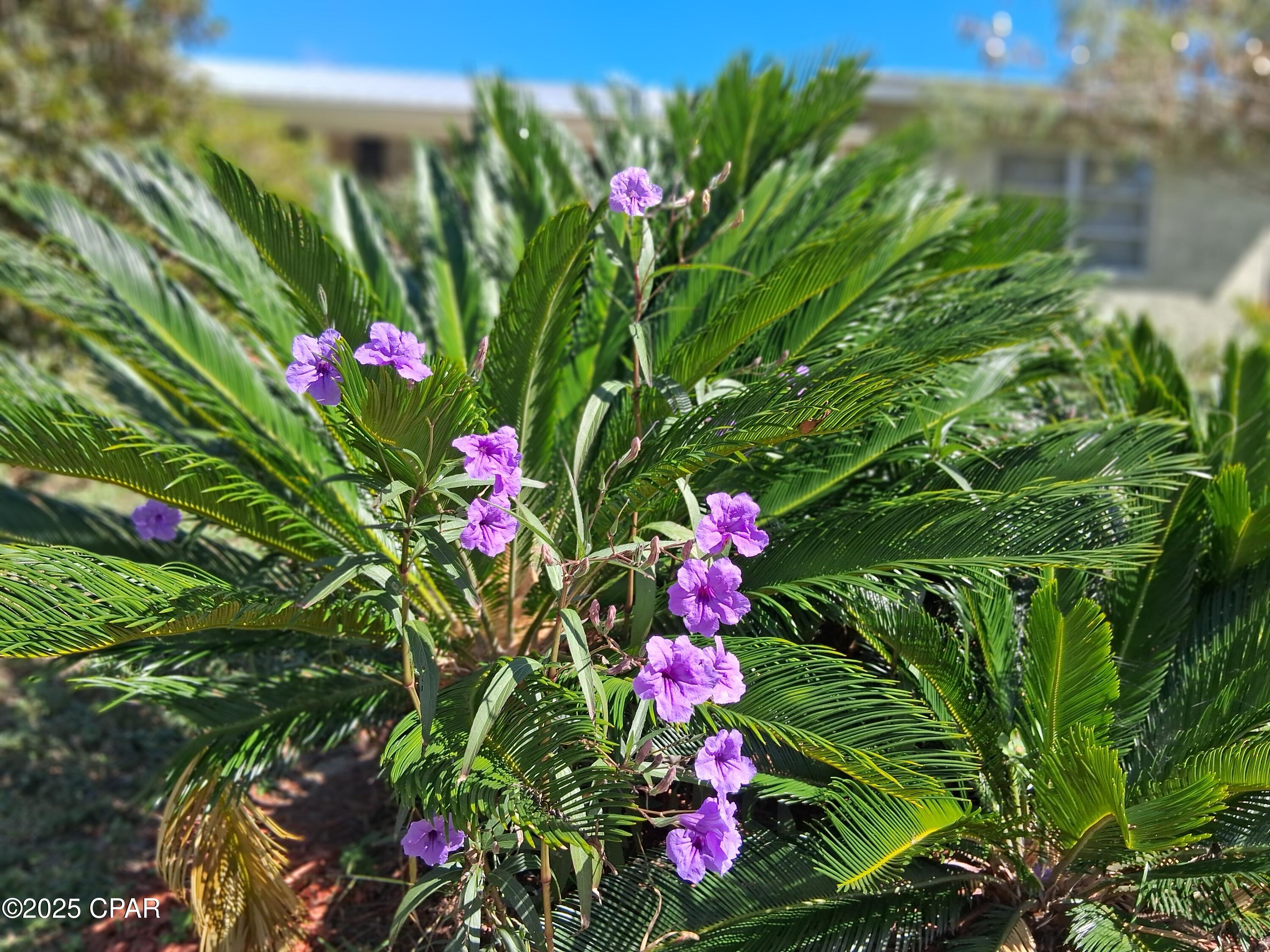 Osk__lynz4mq_i7q80doia0sofq8ic8wmznatabicok