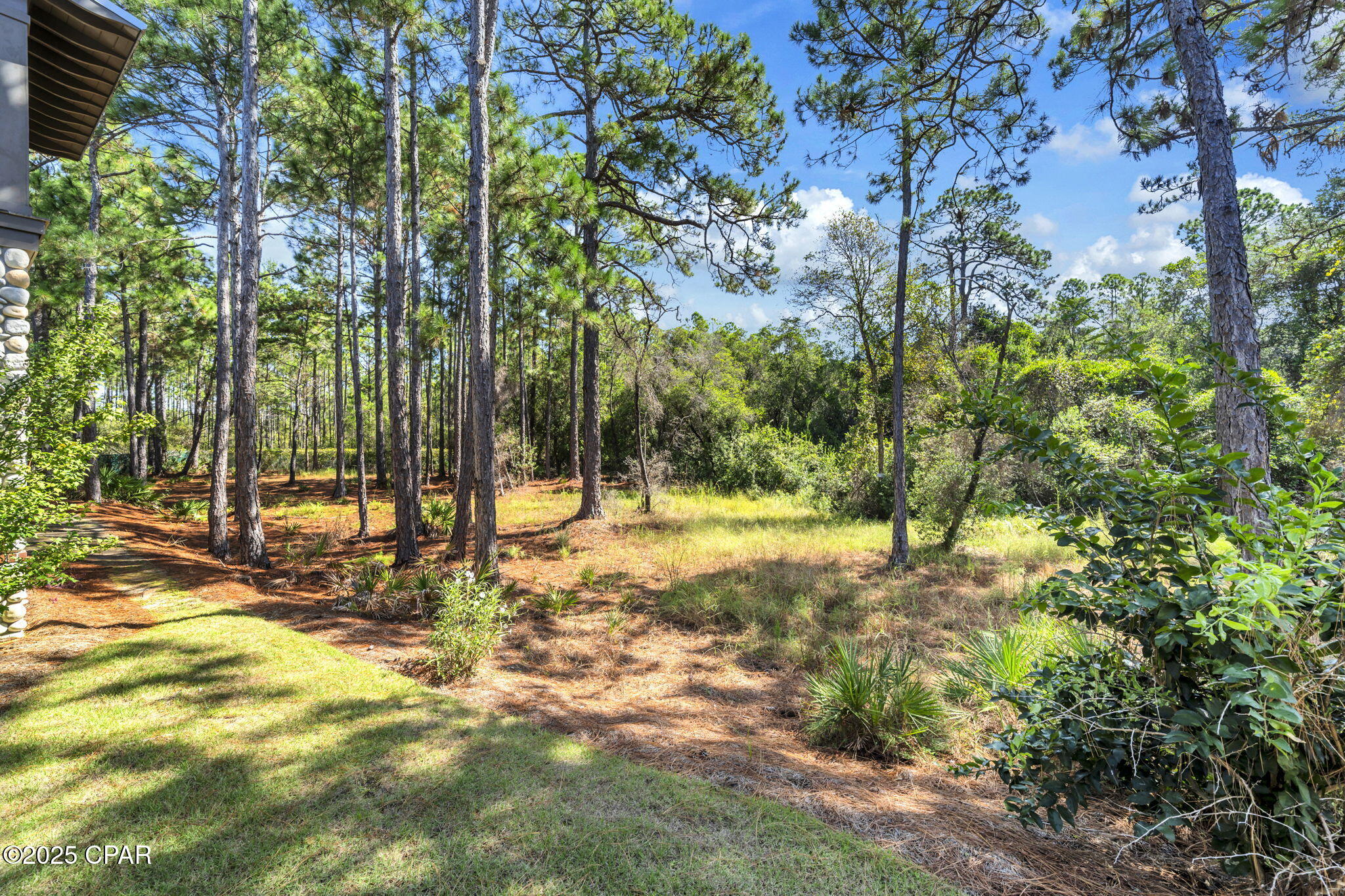 Een1bs87ix8dpllow8dmcjbvzamugczbio2jfkm6jxi