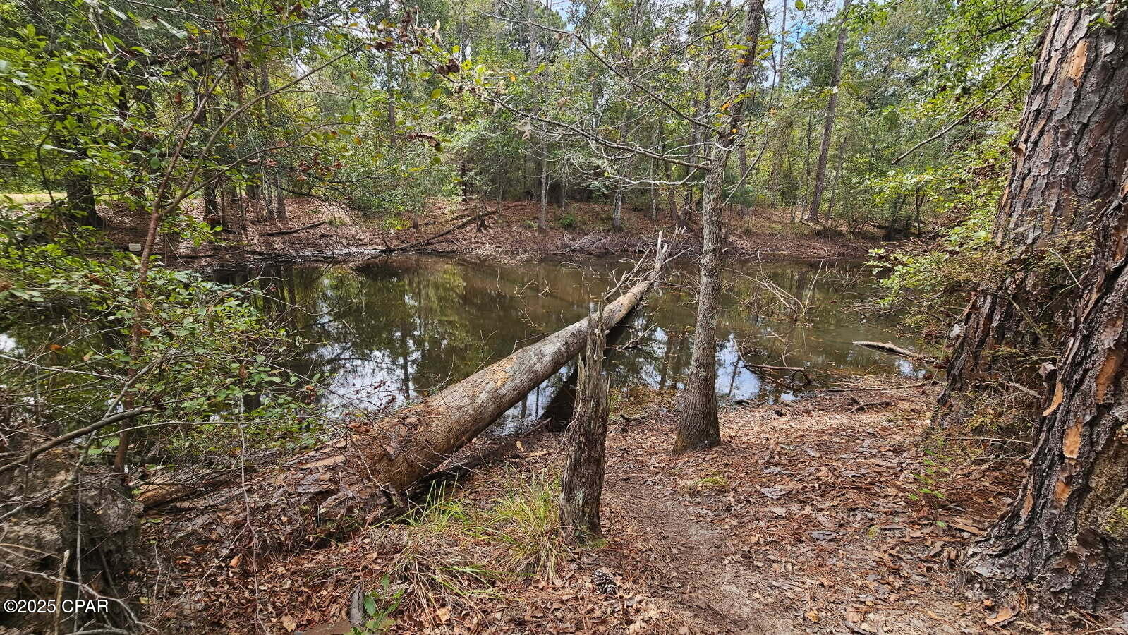 Rm6icsas2z2gsif23go4tcirxla09w8trtgj4iewwuu