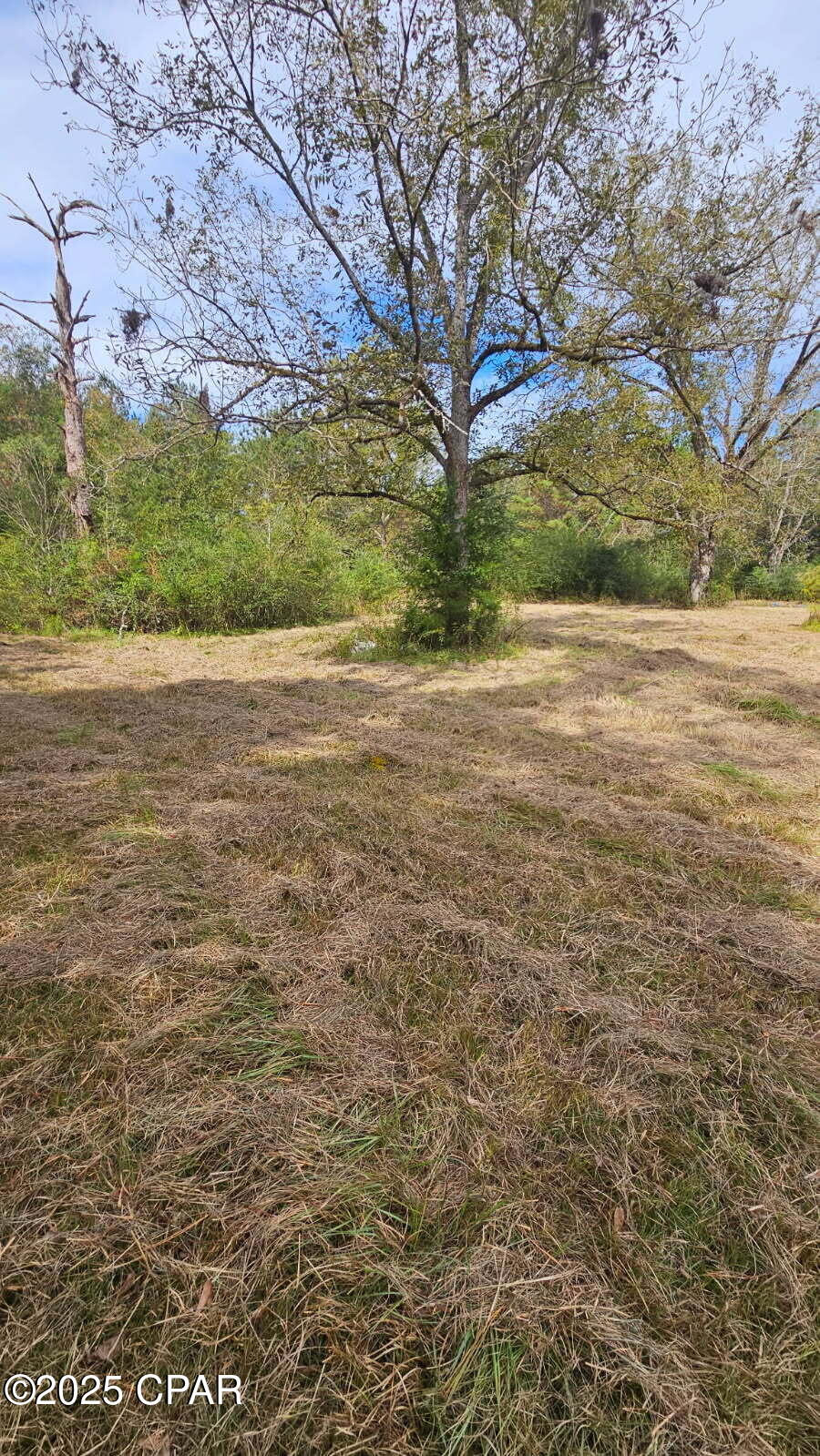 Ulqneiibhydkw26ksp  Rxw4xnnjpwzww6mofcb0wha