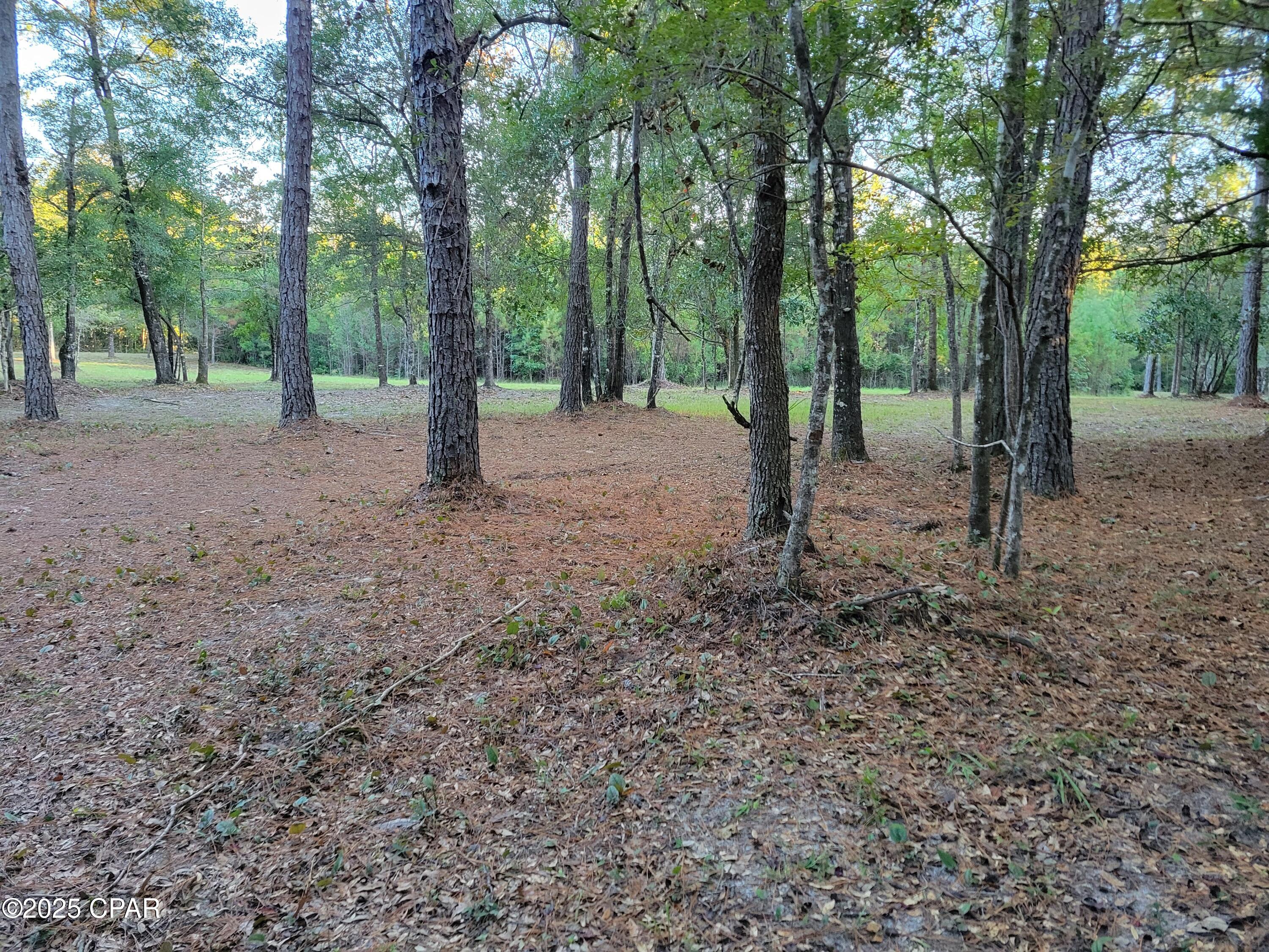 Image 1 For 0000 Hardwood Lane