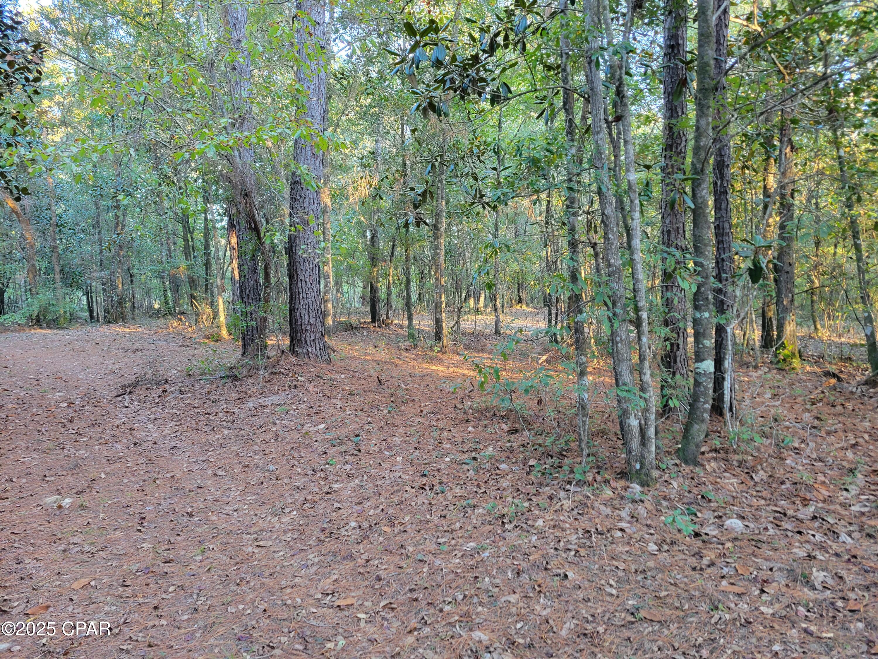 Image 2 For 0000 Hardwood Lane