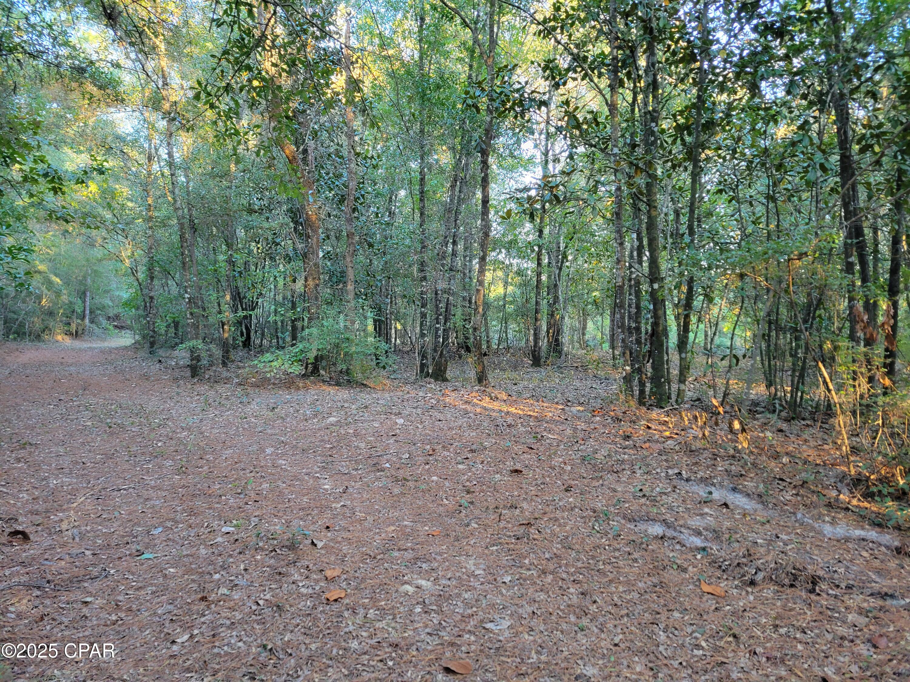 Wbct8wsq7xwxx9idma7fw Zb1q1chesdp2jqwqsosfq