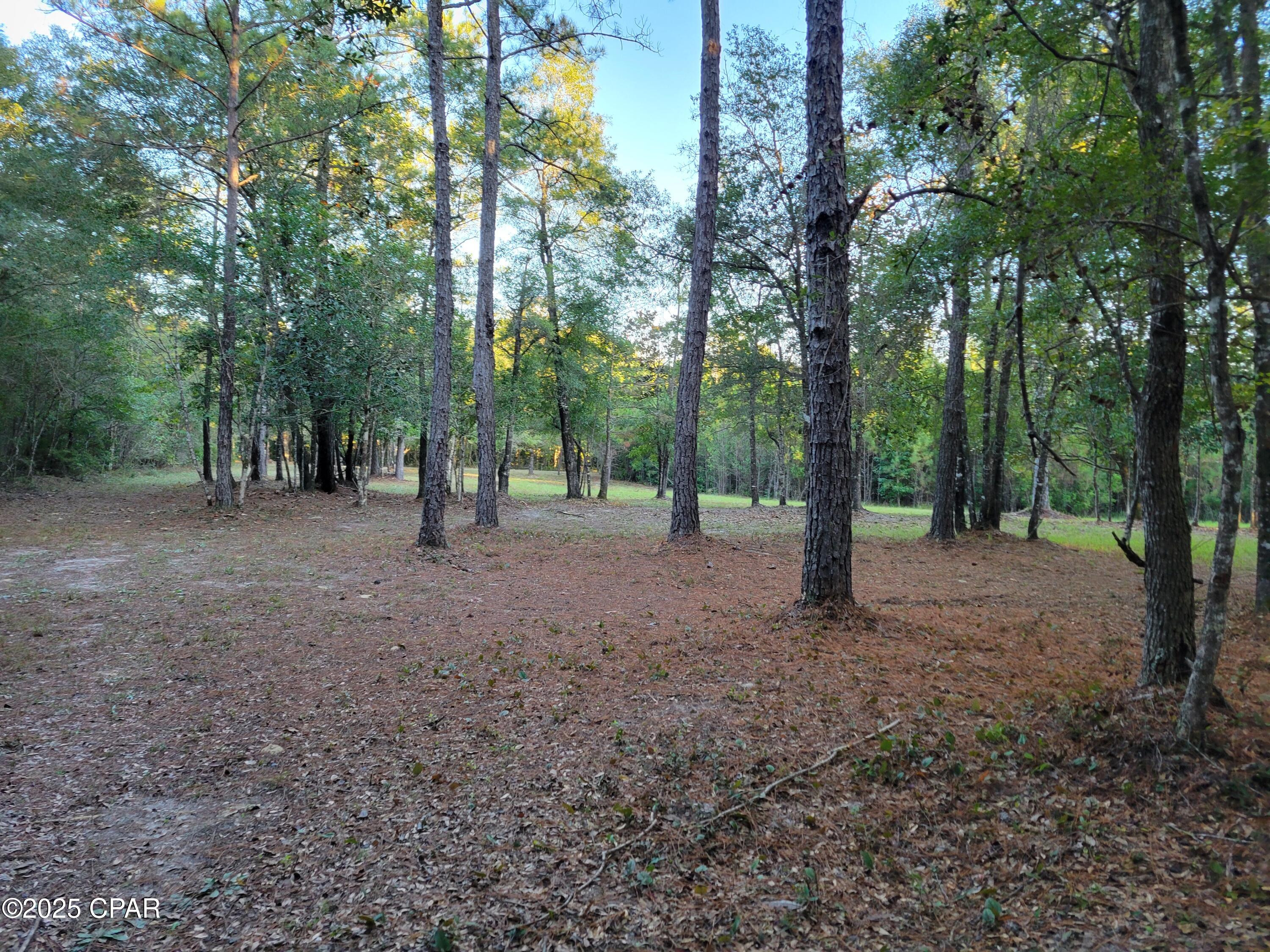 Image 5 For 0000 Hardwood Lane