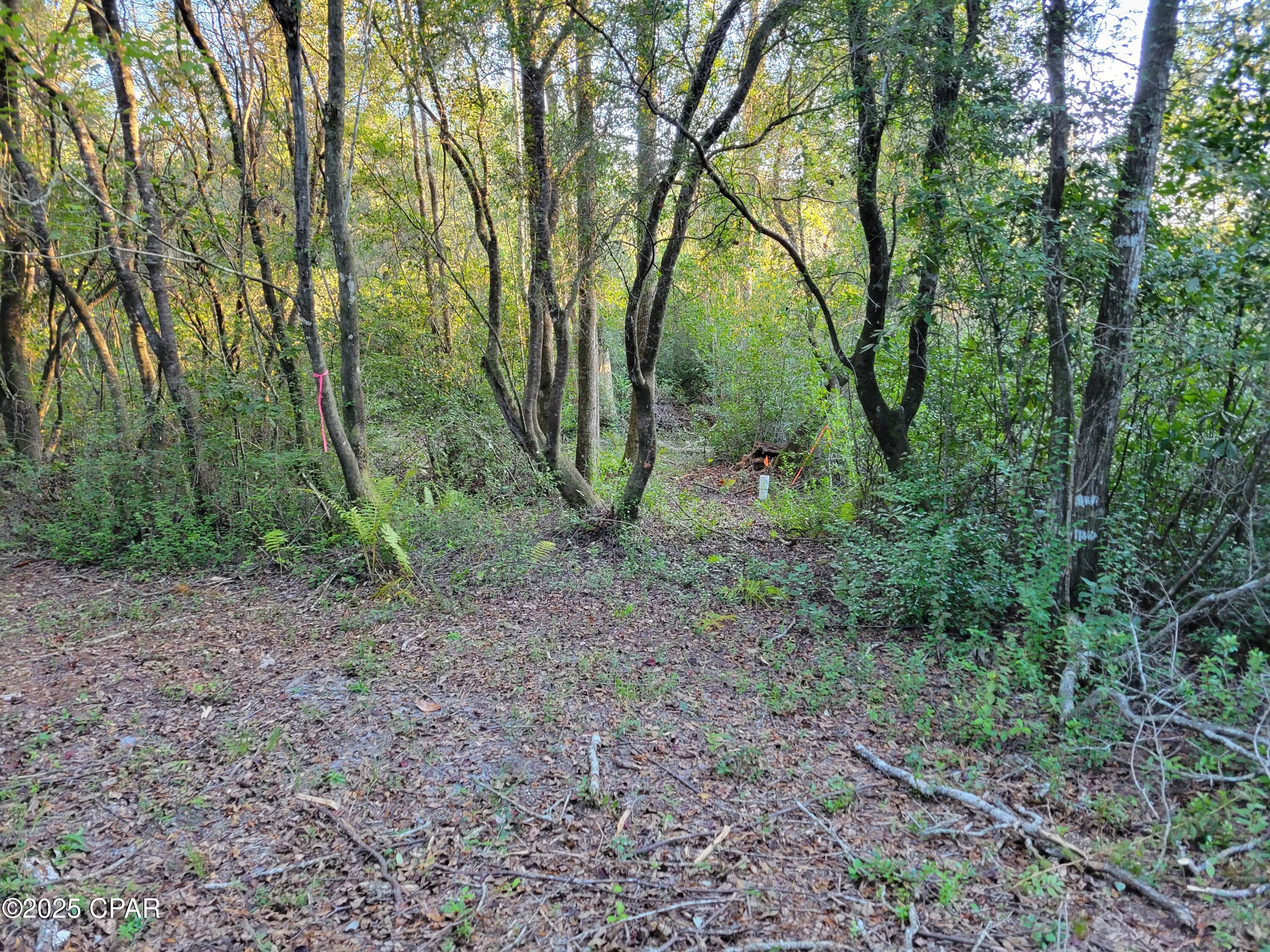 Image 6 For 0000 Hardwood Lane