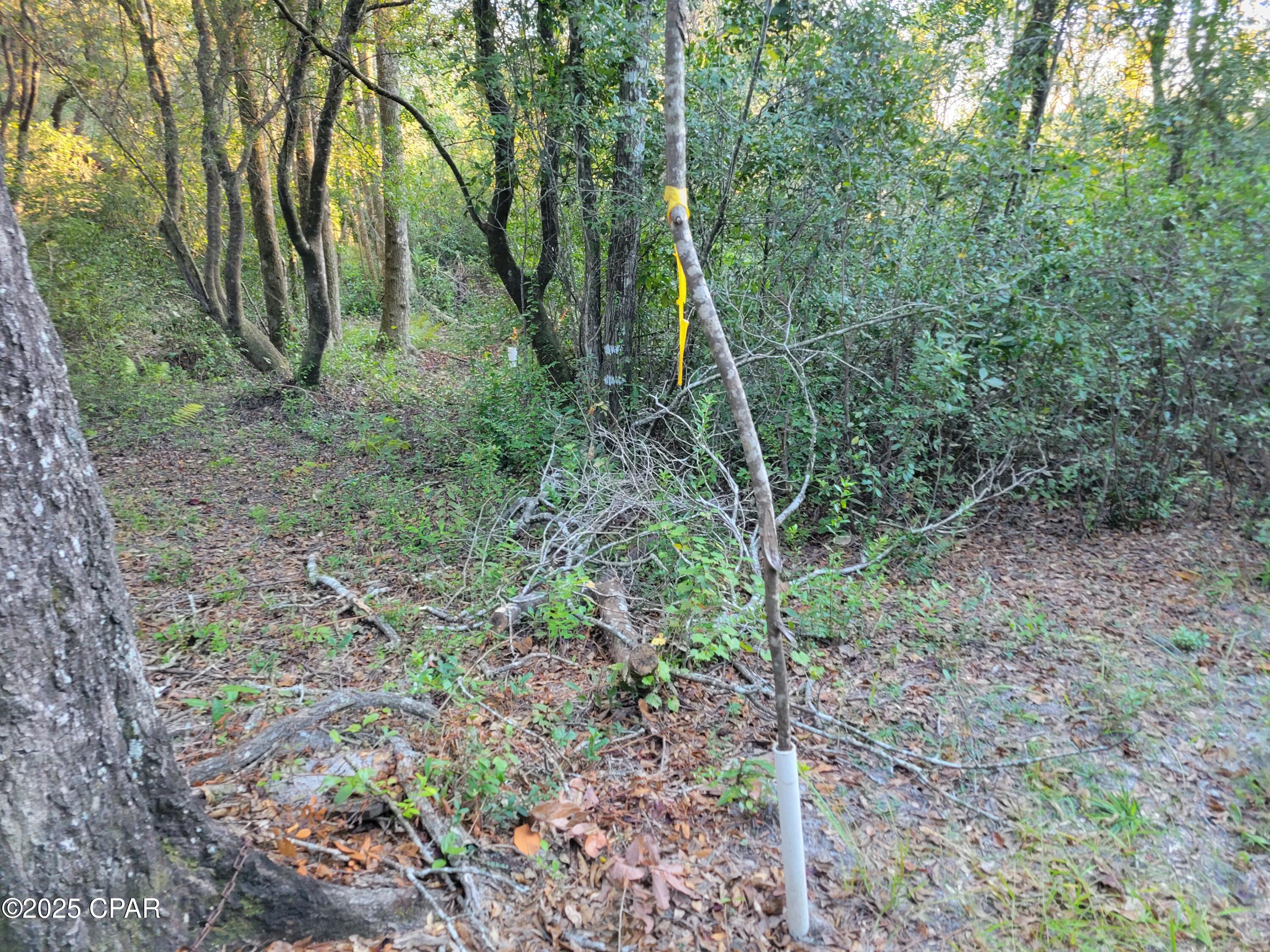 Yqj8t4n4_vltein5mxbte6t3psmrmnr93bfxlwwc7dm