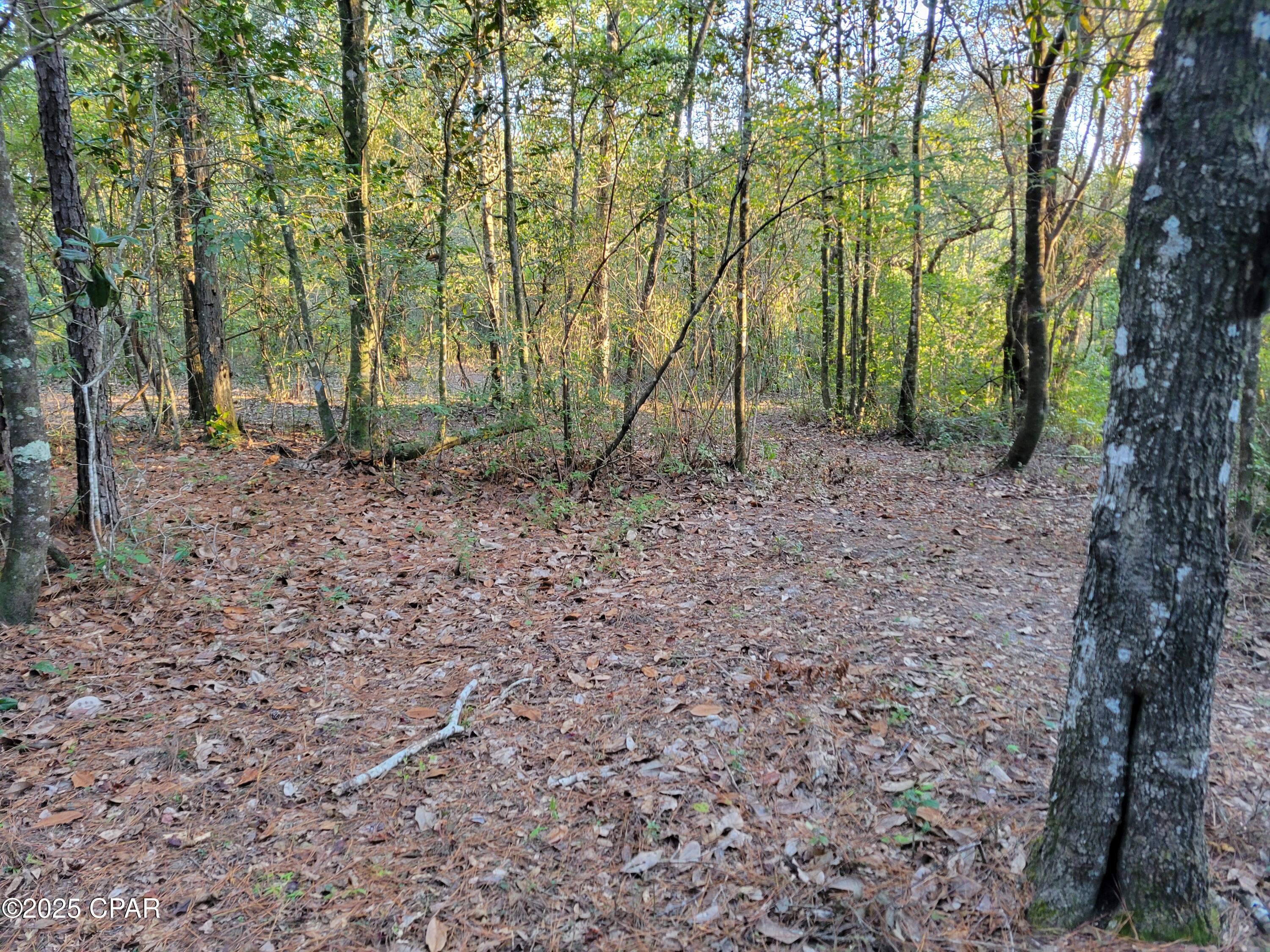 Image 9 For 0000 Hardwood Lane