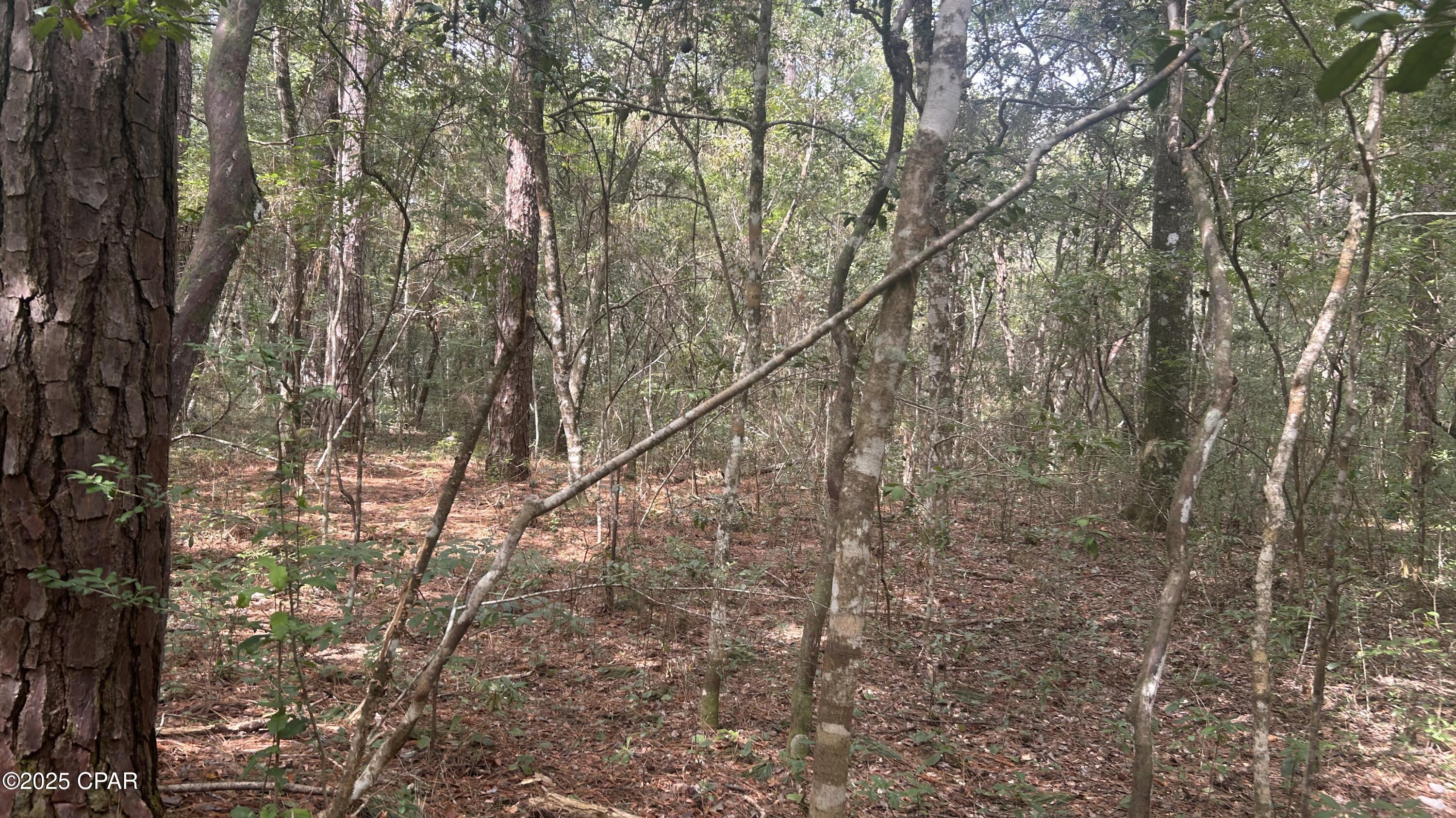 5zh4wnudg6wuwiskrhctjw_nqgz3fm_u_pejvoqedws