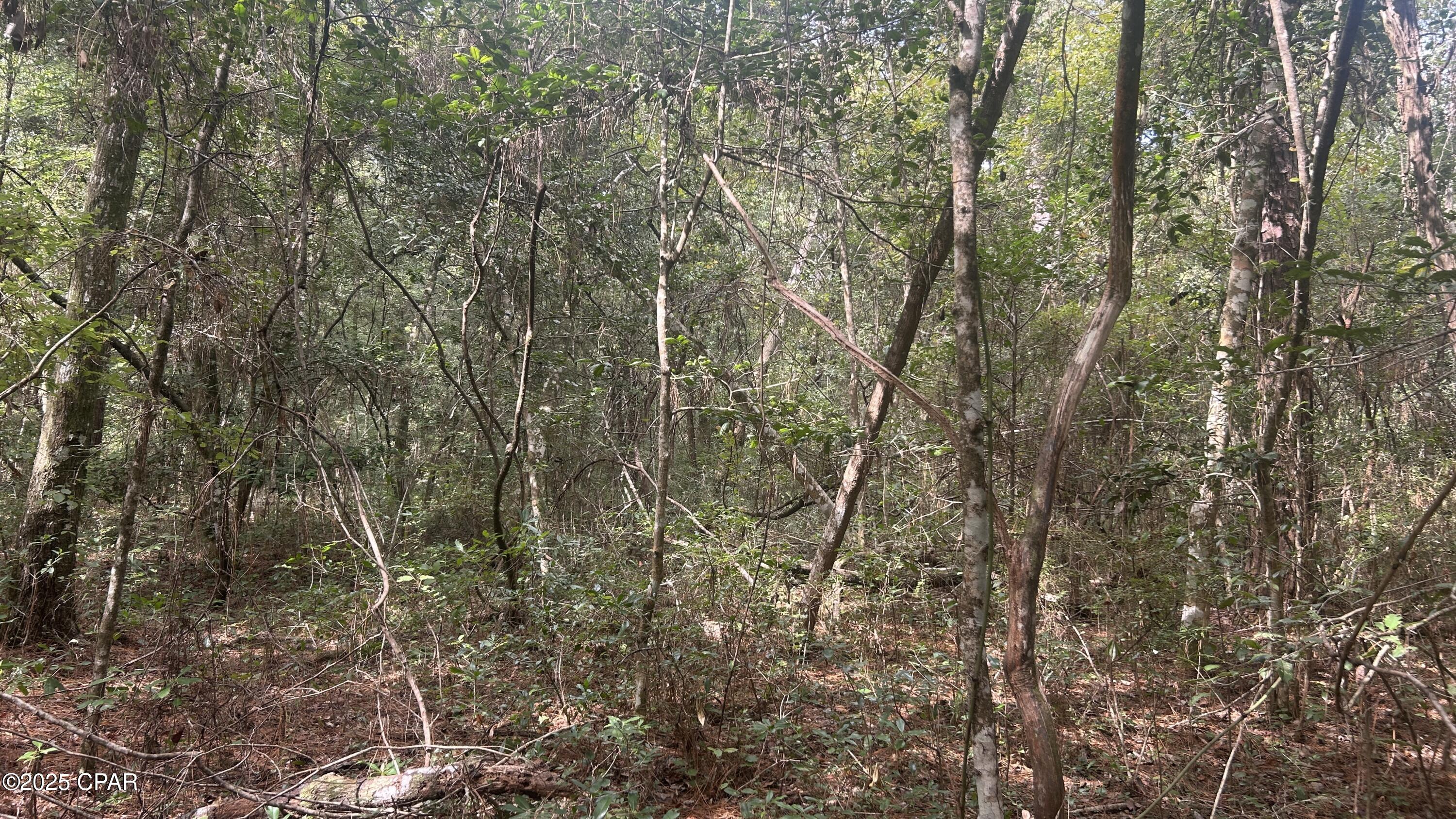 2f6zonanlzan_kcili6ttukmeez_m 2htzivr1jwmv0