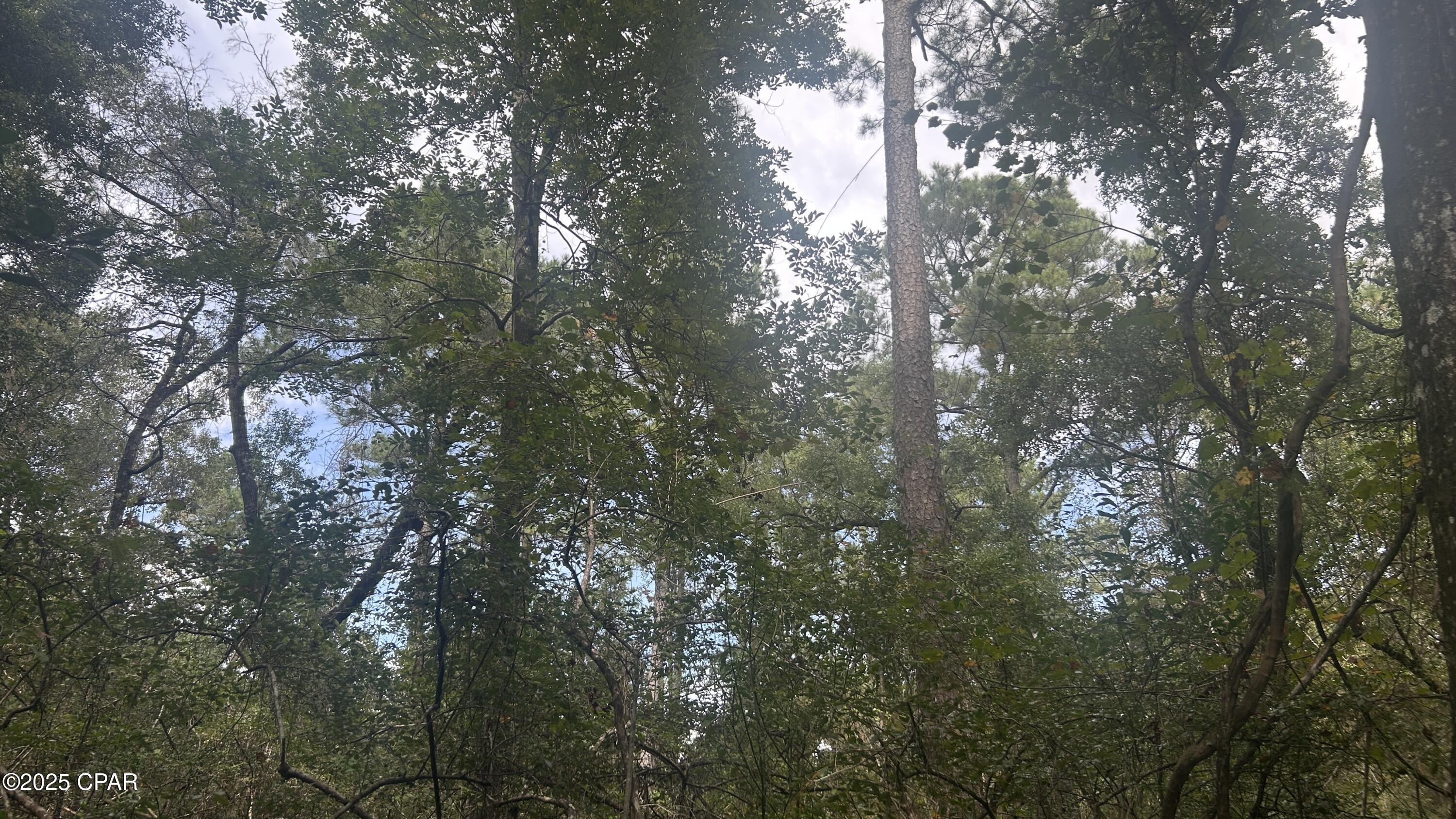 Y4mvg2piylkw1ri8k Huesdiroovek2xlnugslkqdaq