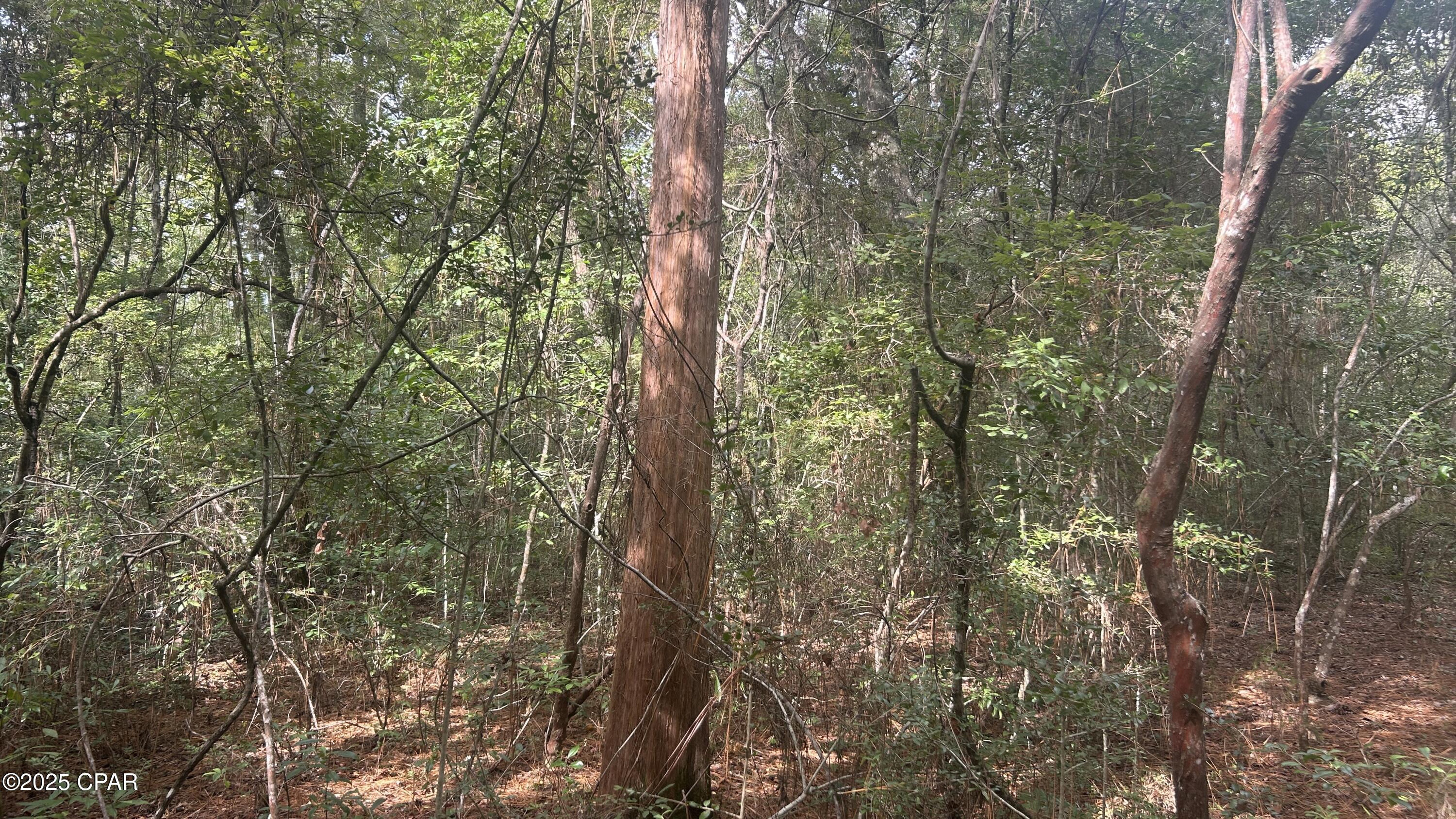 Gj3dqgumbstrxnuwroctiphtgp7_gmenj18y65_h He