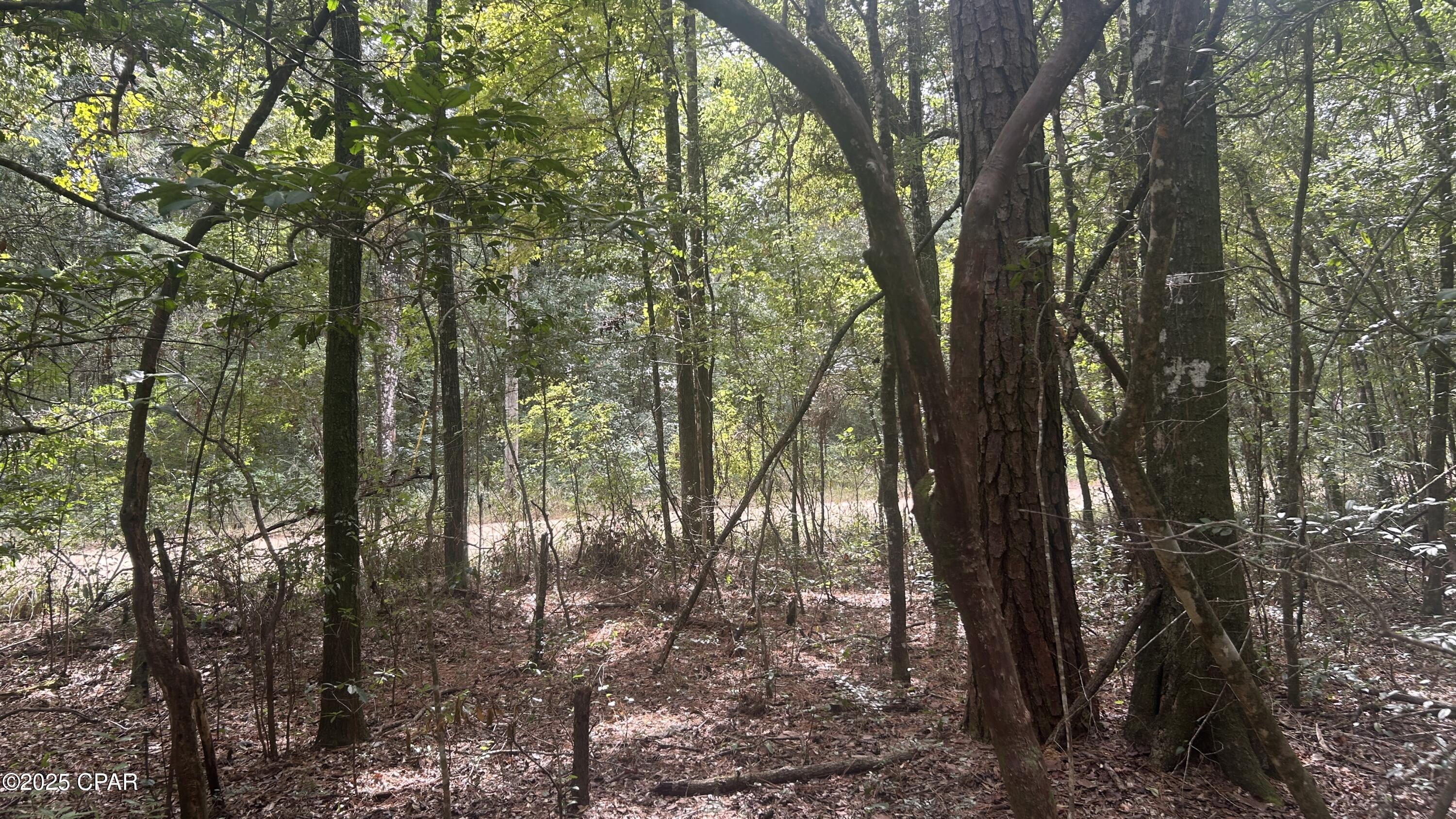 2p41uatagnjv9zdzzkyykmrgcw5wihfecu66gmn8bya