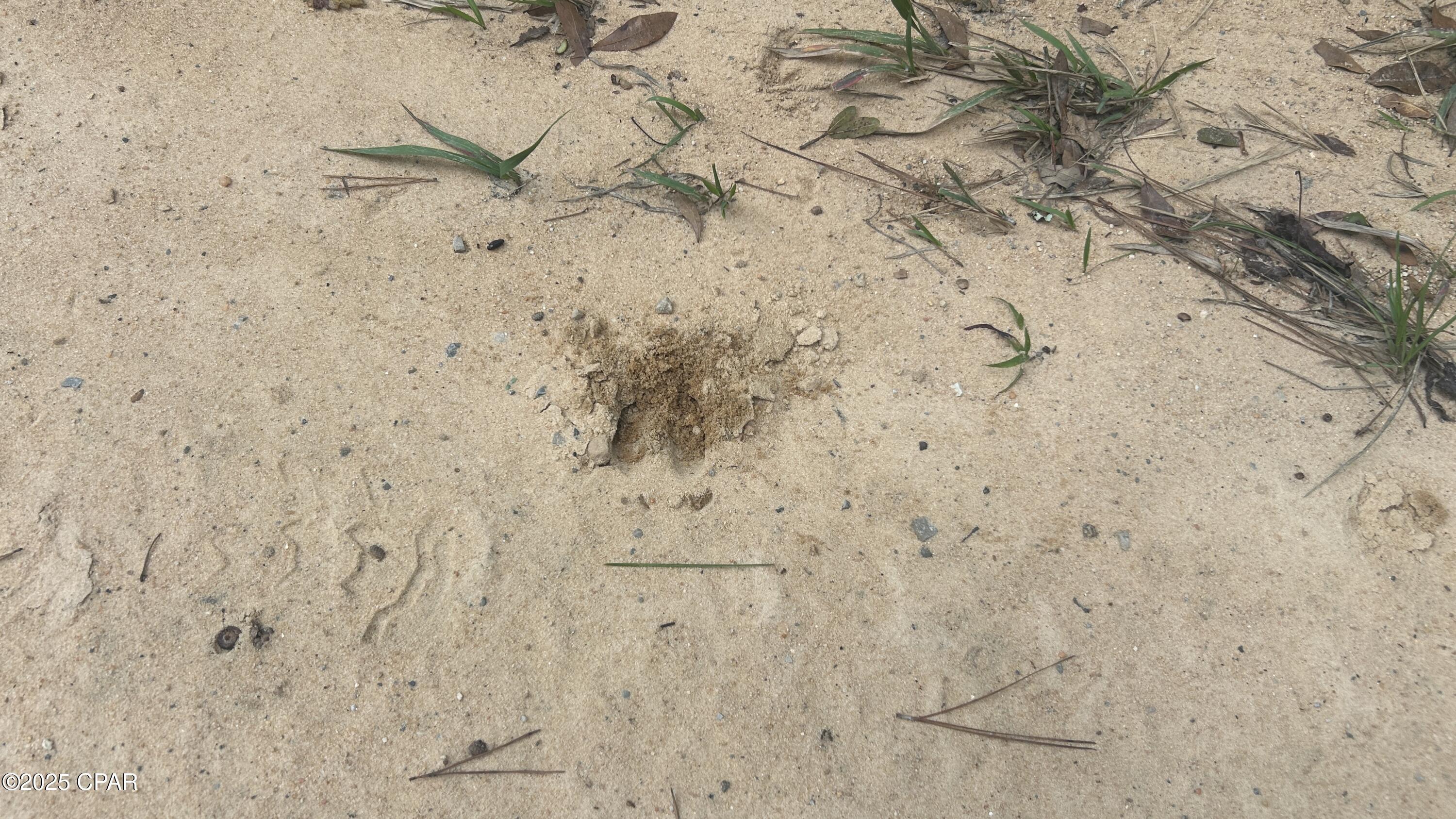 Ayqm4mmskvyiwsqh9ftpt2crv2dowbxoiravac5rpqm