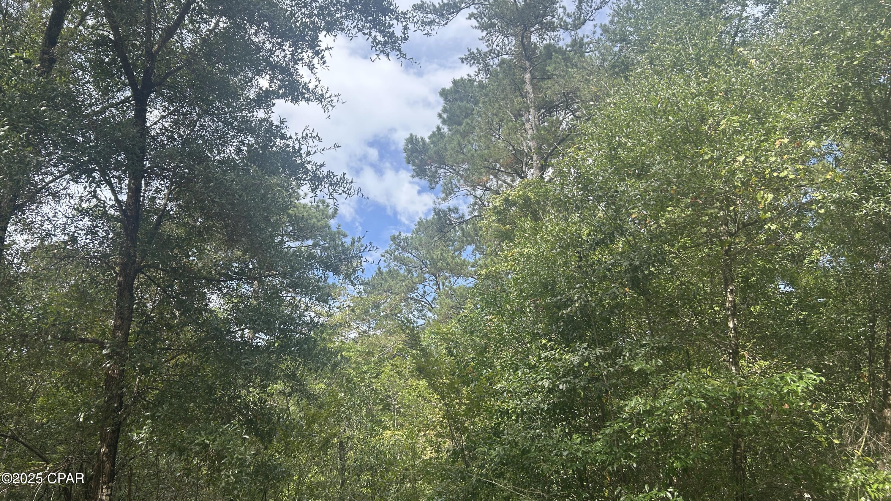 _h1yksw6uq3cehjybcjjnfvrkadgf2u2dm1ygatuzew