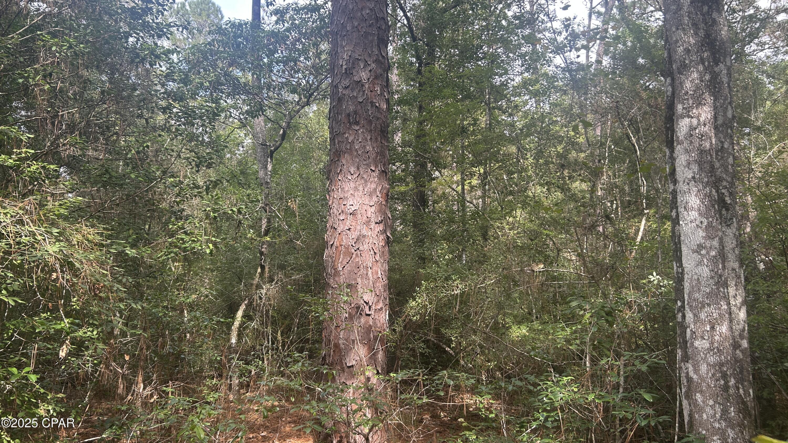 Ecxd0b4mtl_ugkcagwsvygktbvvymvpgmzme8nqrwle